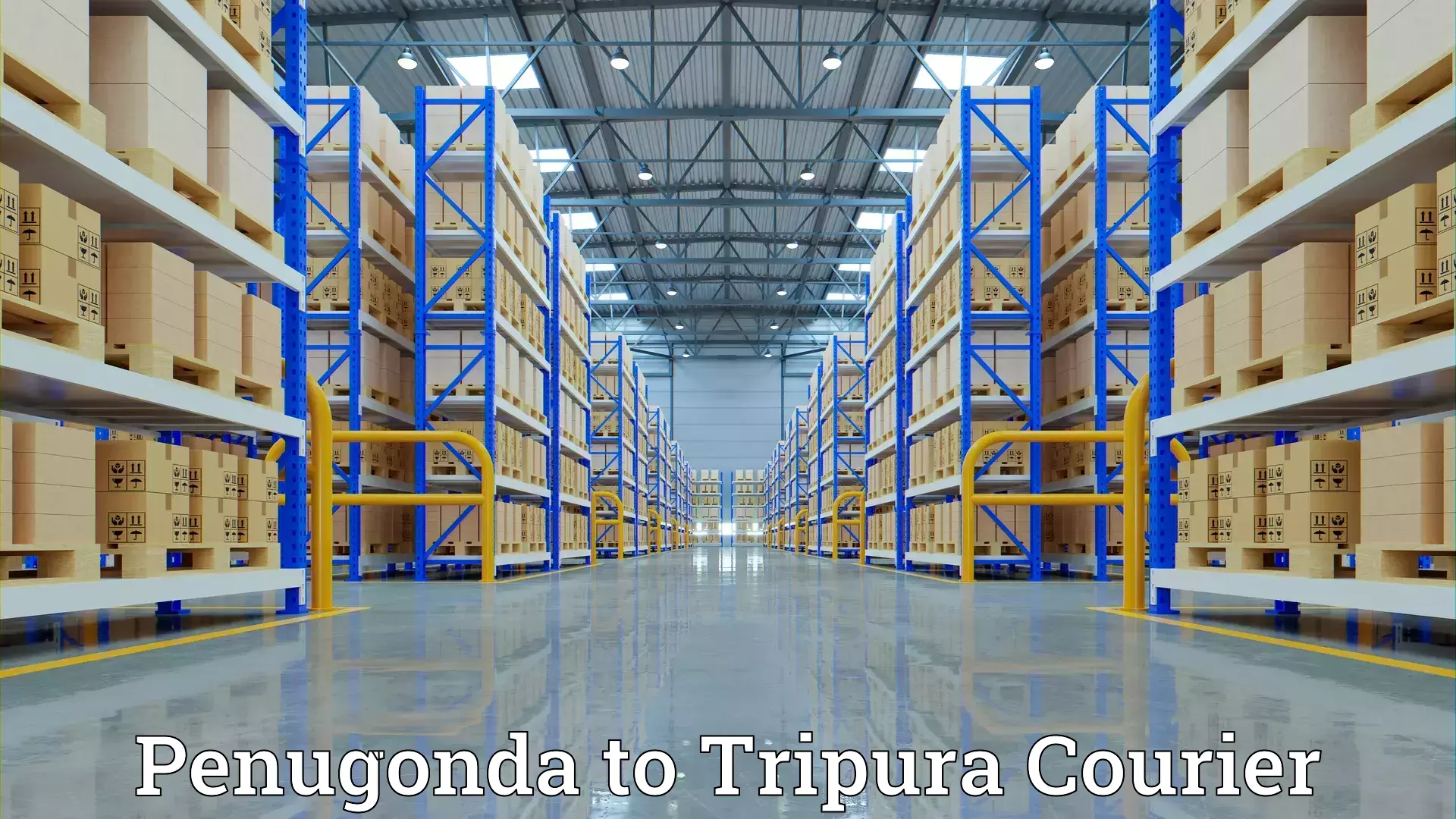 Household logistics services in Penugonda to Tripura