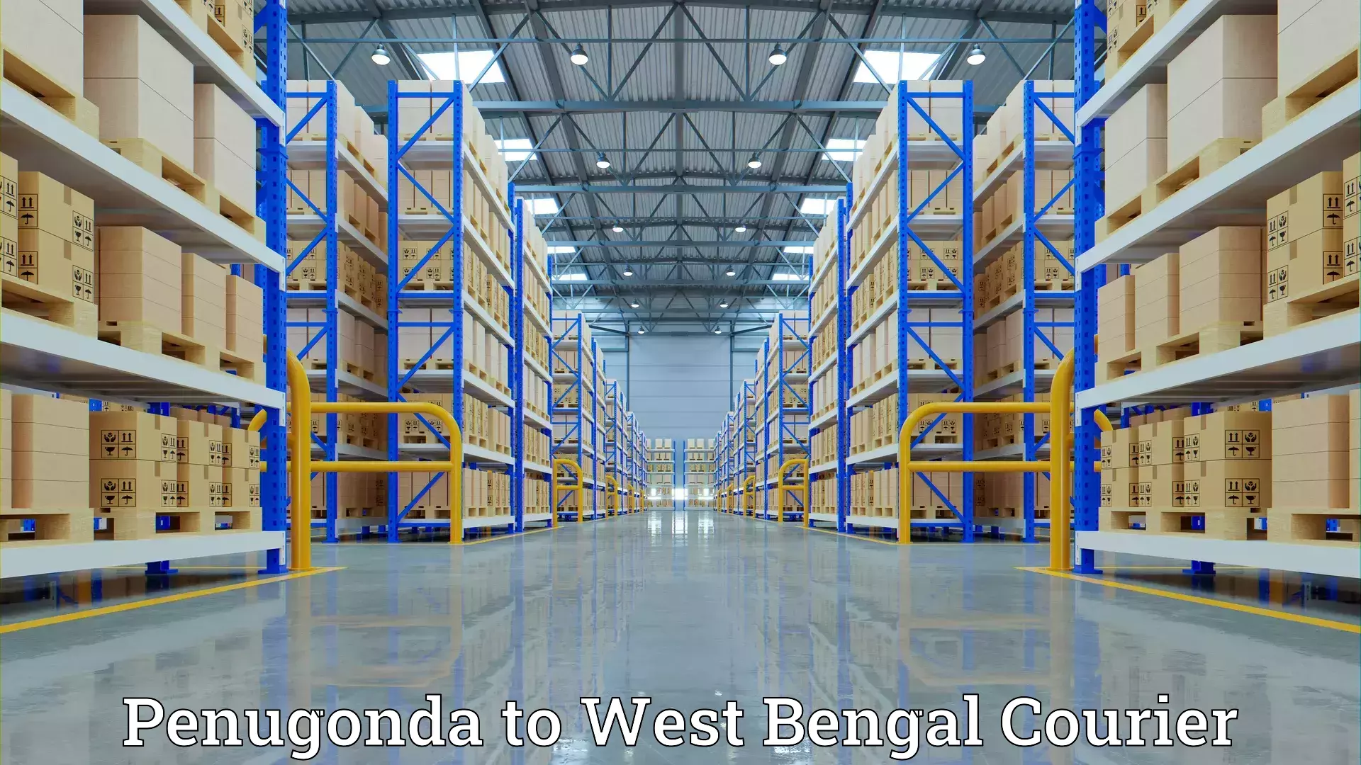 Smooth relocation services Penugonda to Simlapal