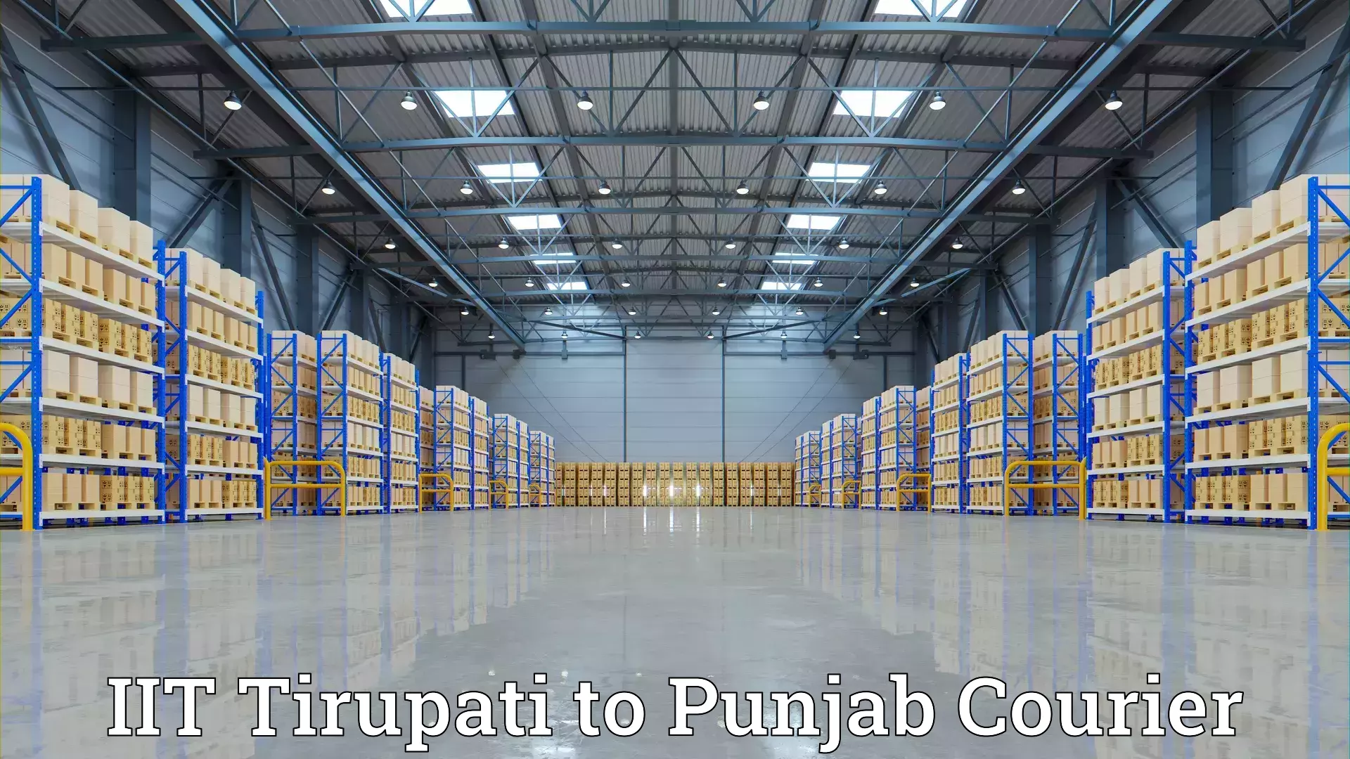 Cost-effective moving options IIT Tirupati to Faridkot