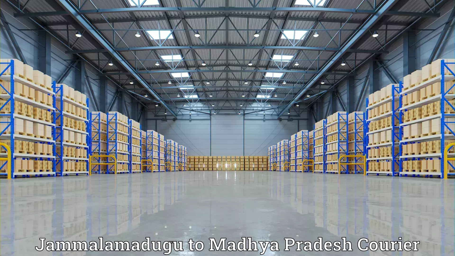 Nationwide household movers Jammalamadugu to Shahdol