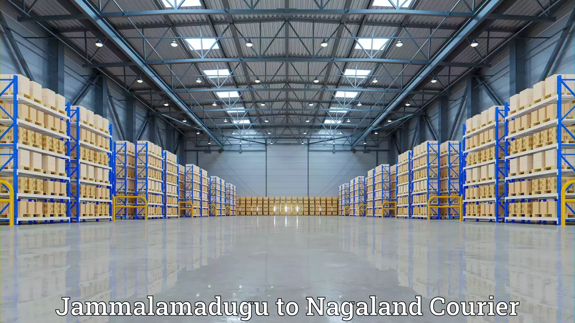 Stress-free household shifting Jammalamadugu to Nagaland