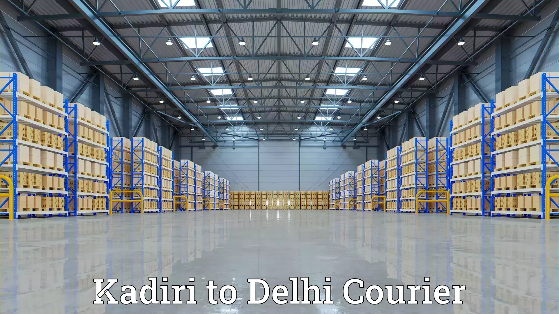 Efficient household moving Kadiri to Delhi