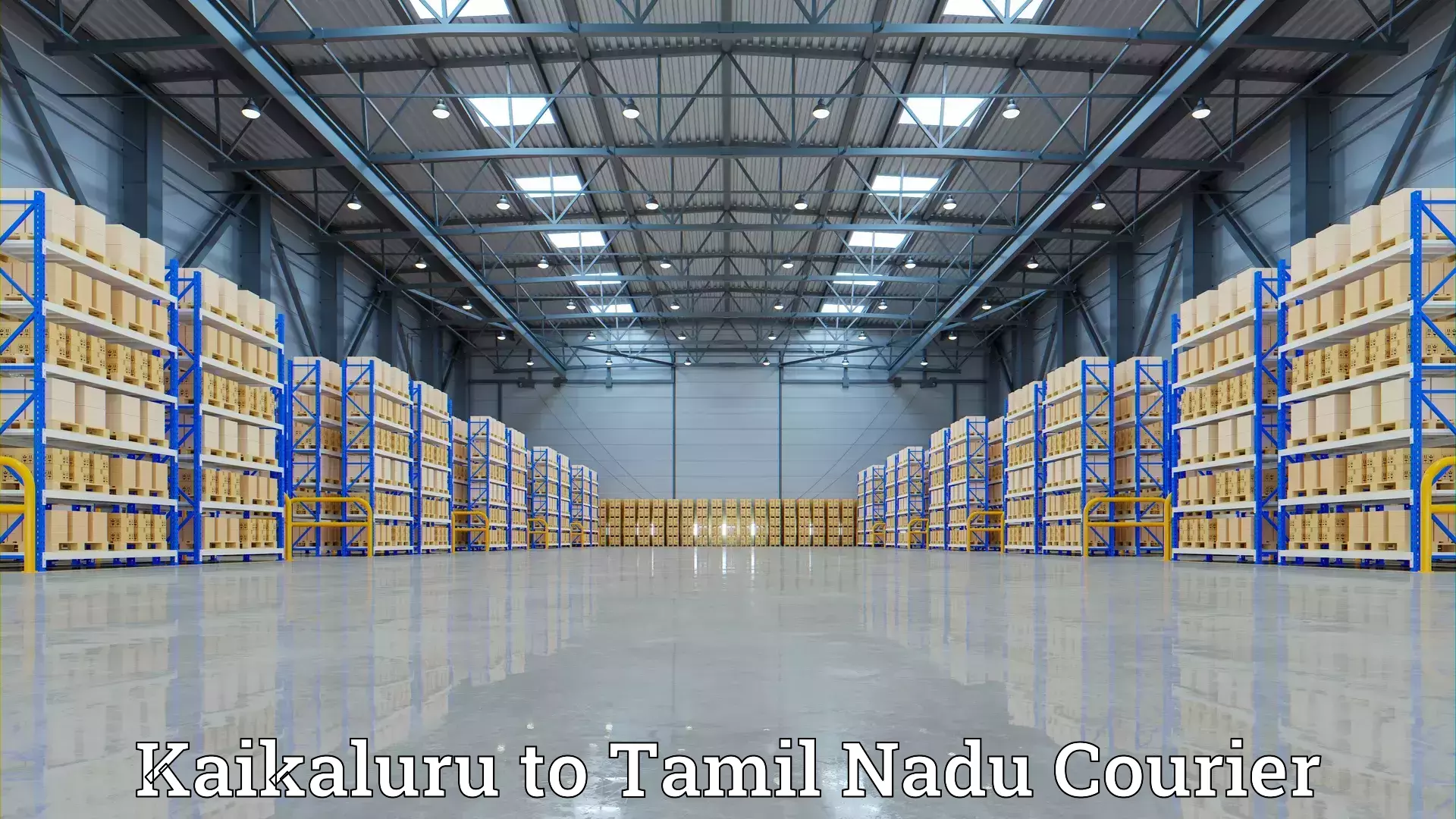 Cost-effective moving options Kaikaluru to Surandai