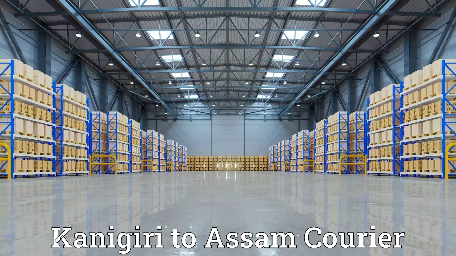 Affordable relocation solutions Kanigiri to Assam