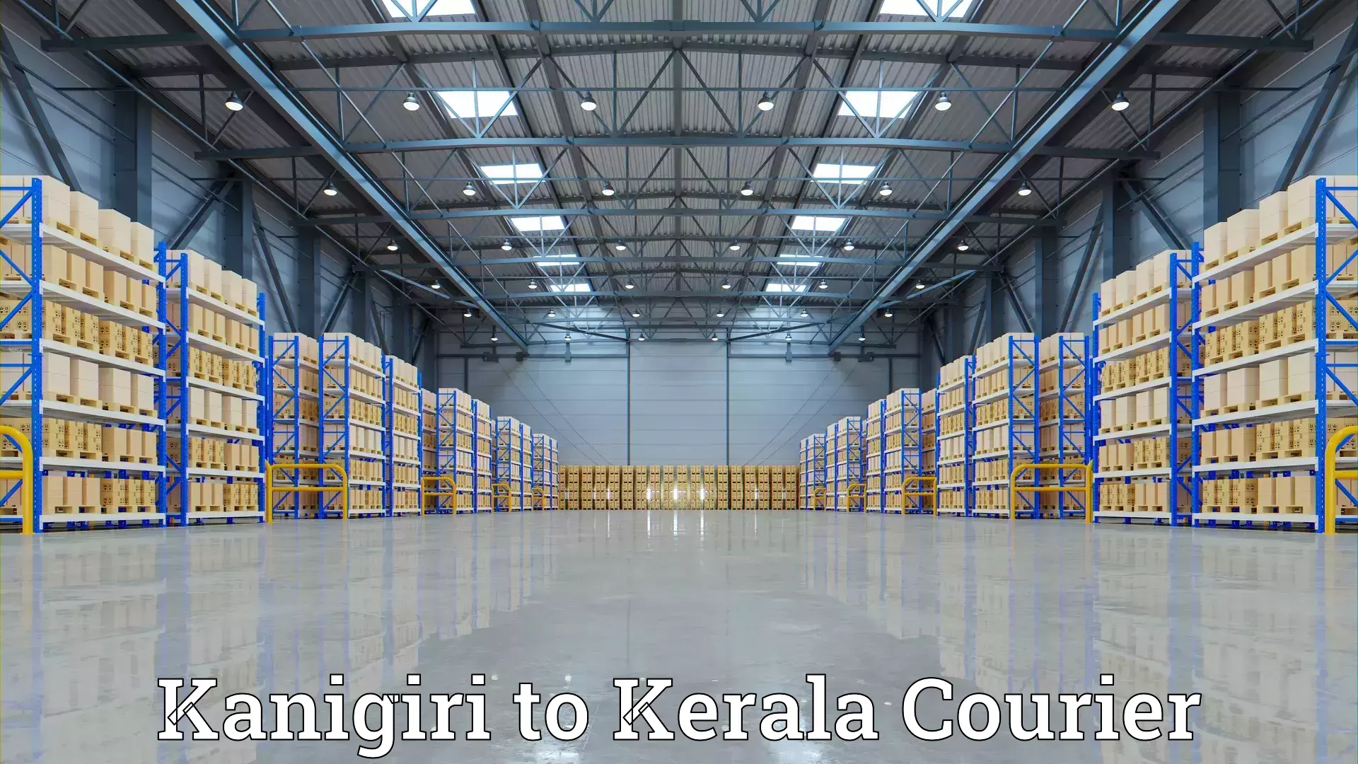 Household logistics services Kanigiri to Kondotty