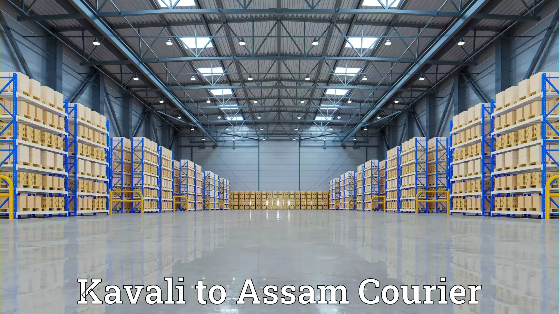 Flexible moving solutions Kavali to Dima Hasao