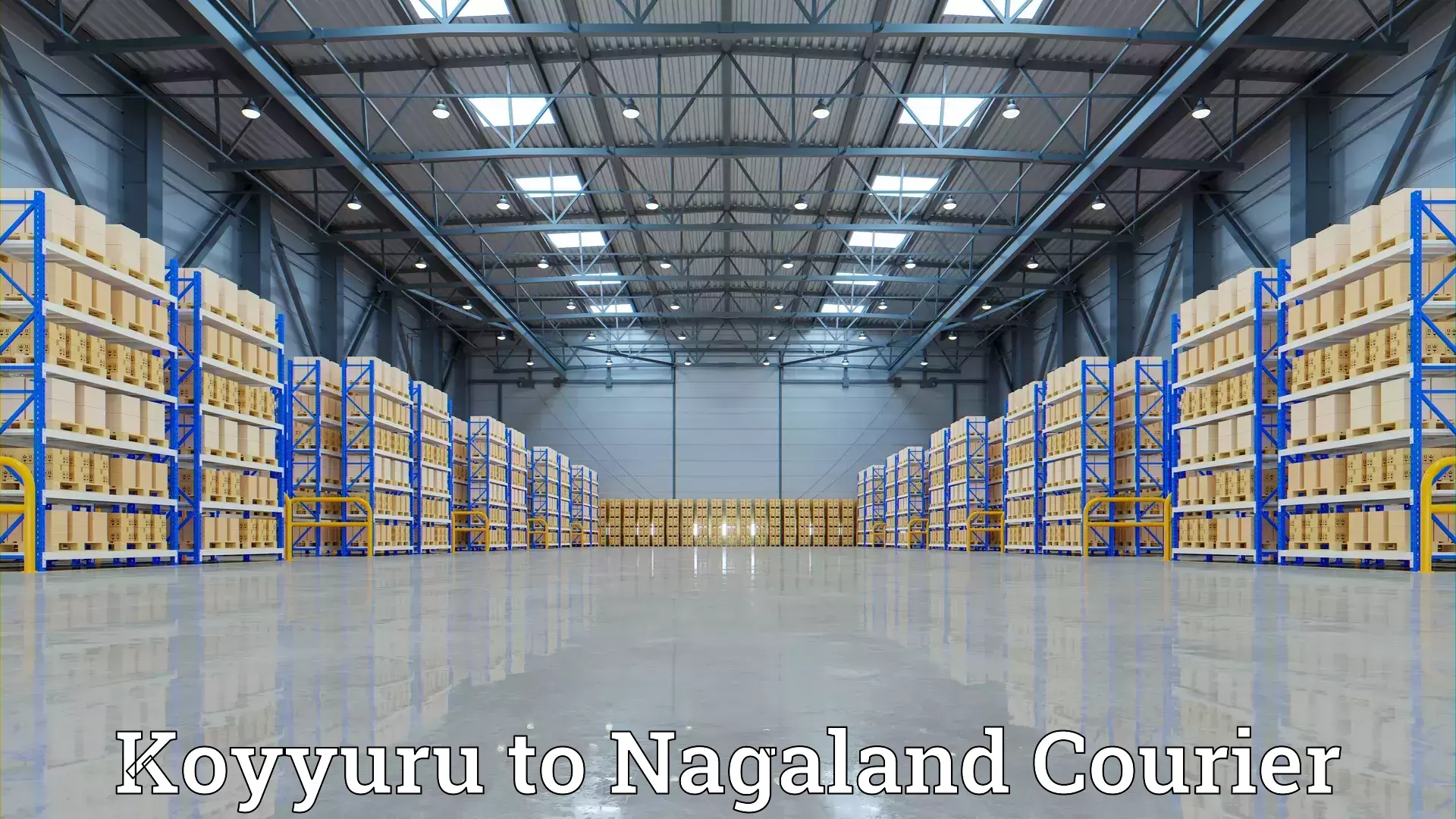 Dependable moving services Koyyuru to Nagaland