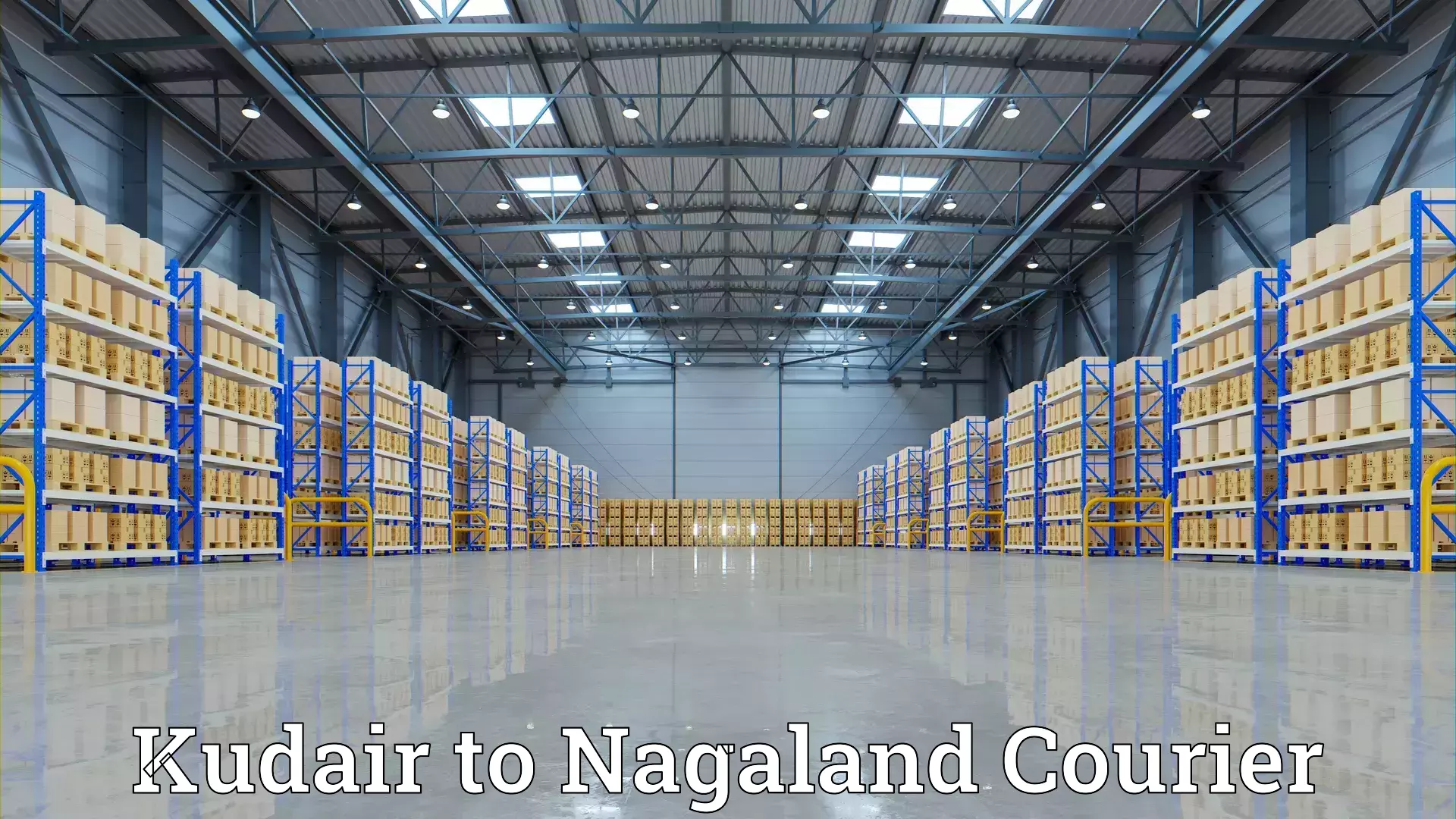 Dependable household movers Kudair to Nagaland