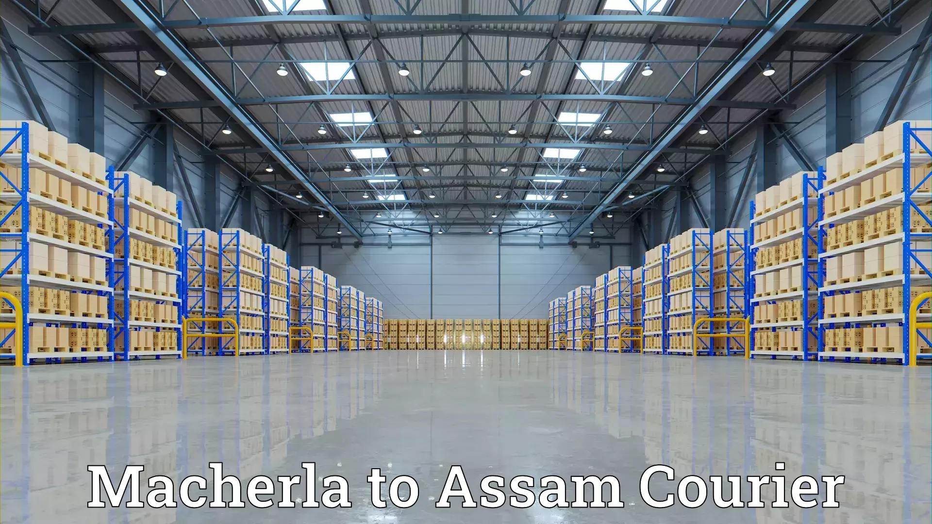 Expert packing and moving Macherla to Assam