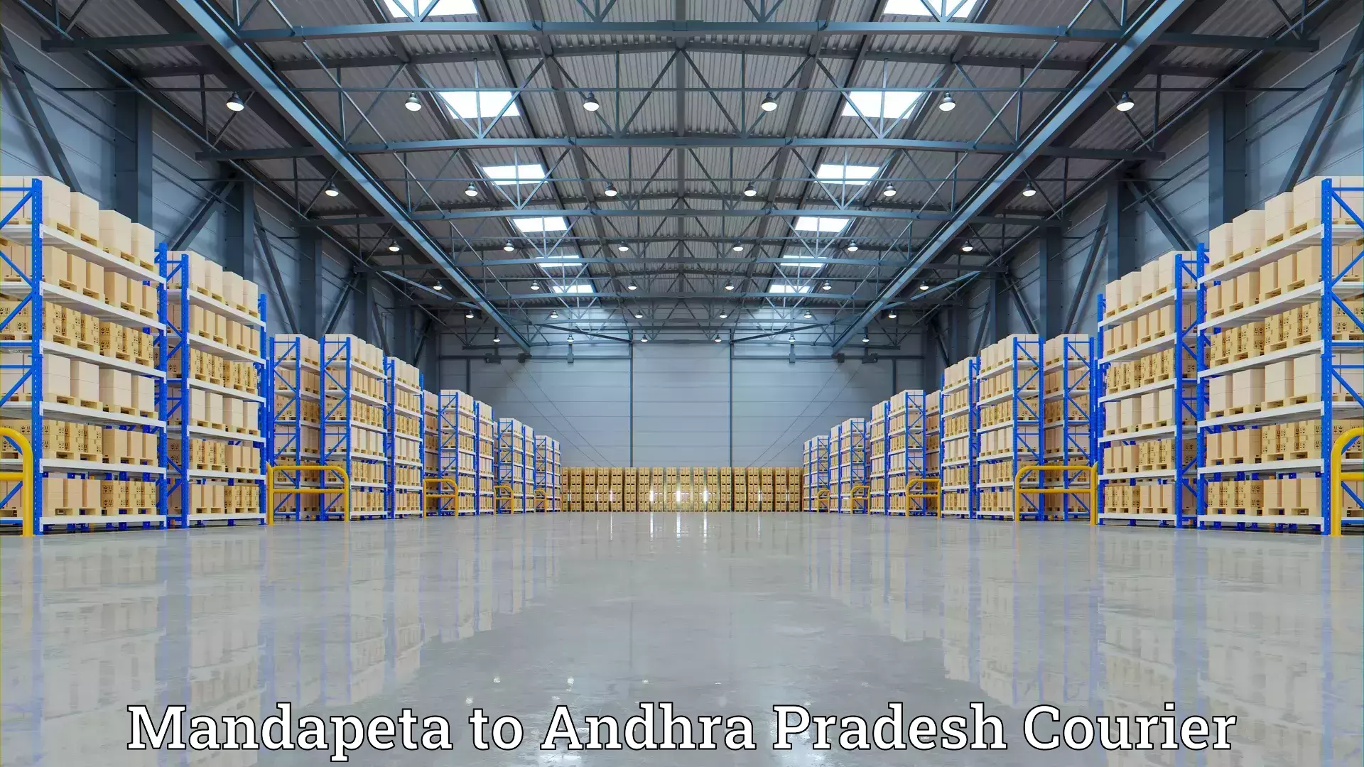 Efficient moving and packing Mandapeta to NIT Andhra Pradesh