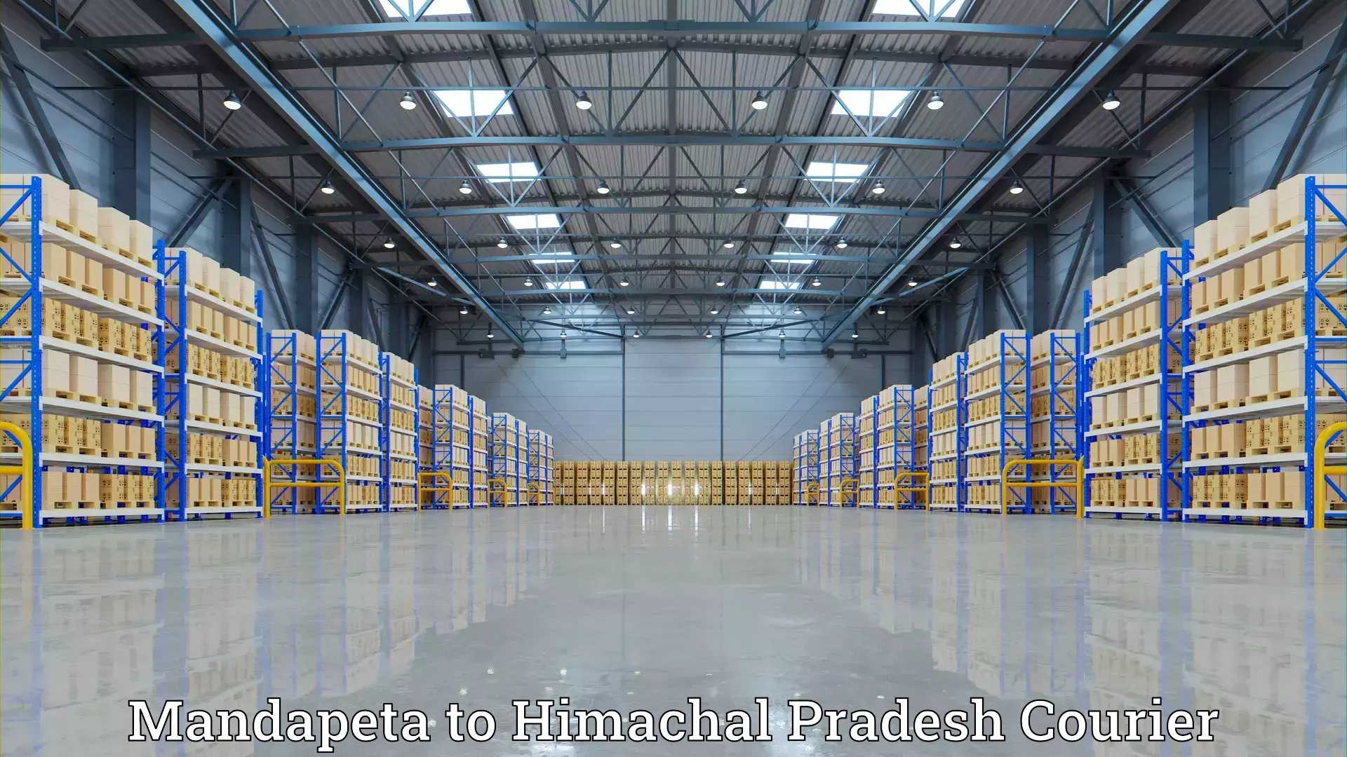 Dependable moving services Mandapeta to Una Himachal Pradesh