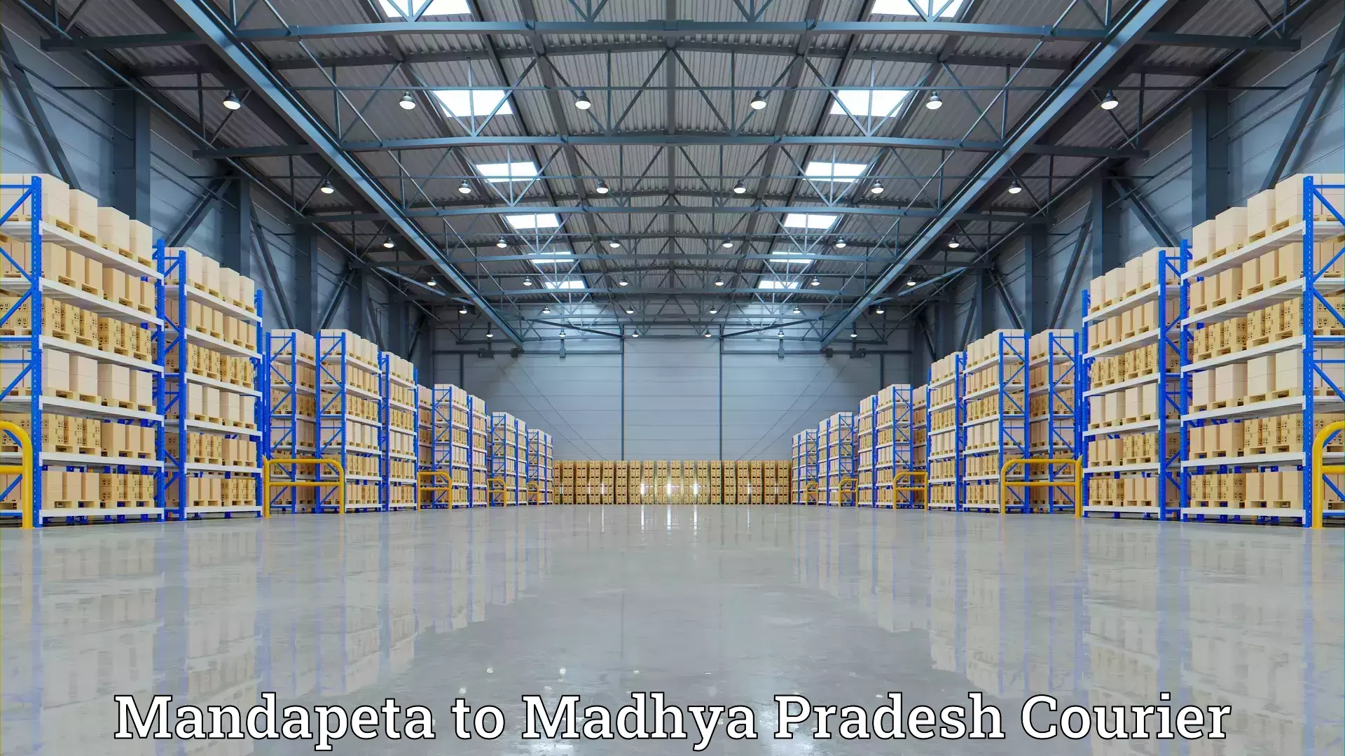 Expert goods movers Mandapeta to NIT Bhopal