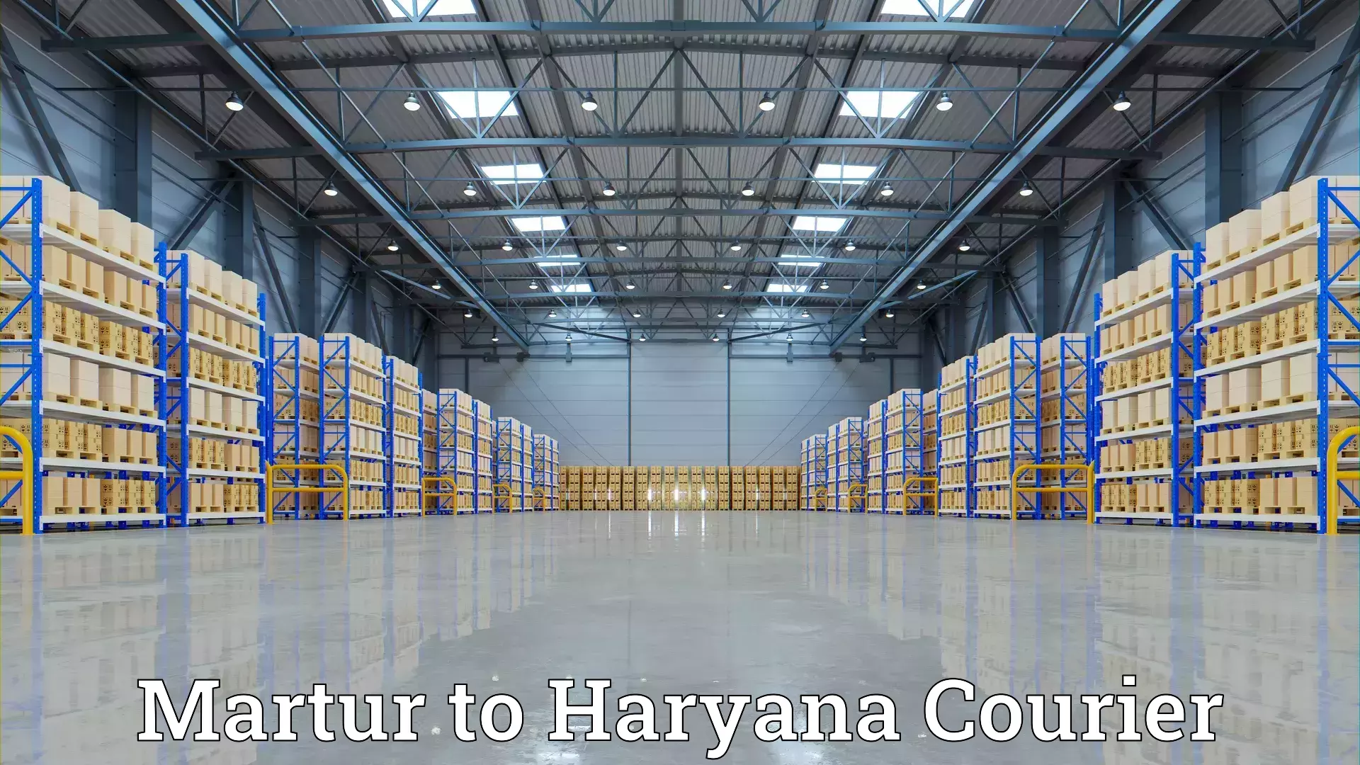 Furniture relocation experts Martur to NCR Haryana