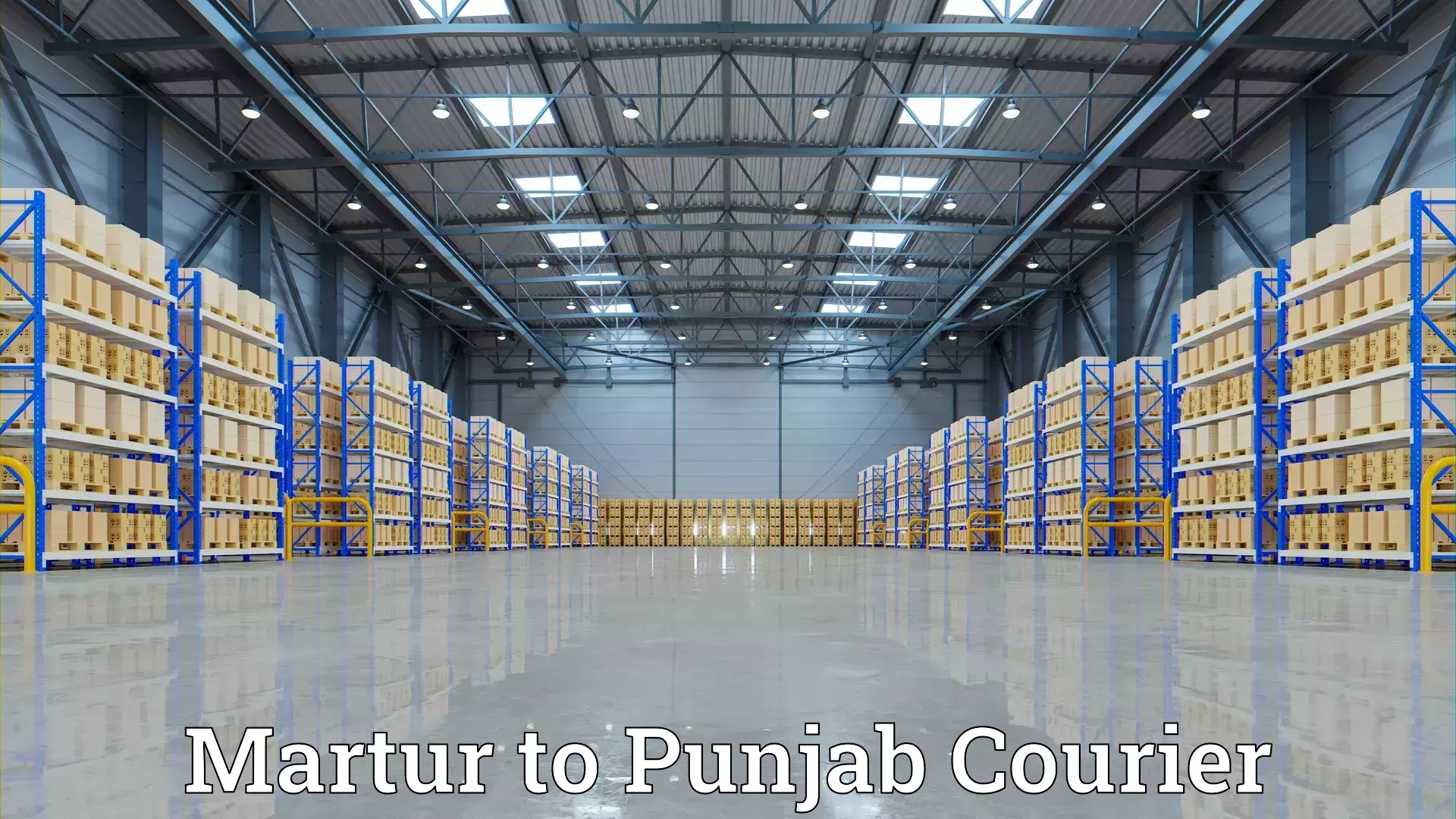 Custom moving plans Martur to Phagwara