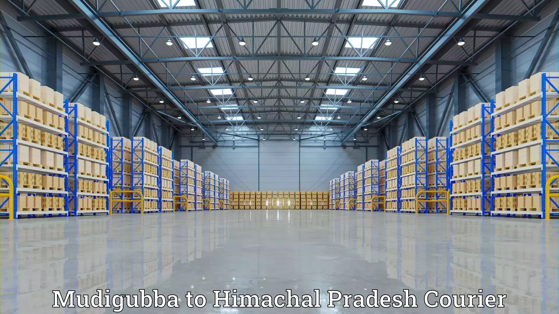 Advanced household relocation Mudigubba to Himachal Pradesh