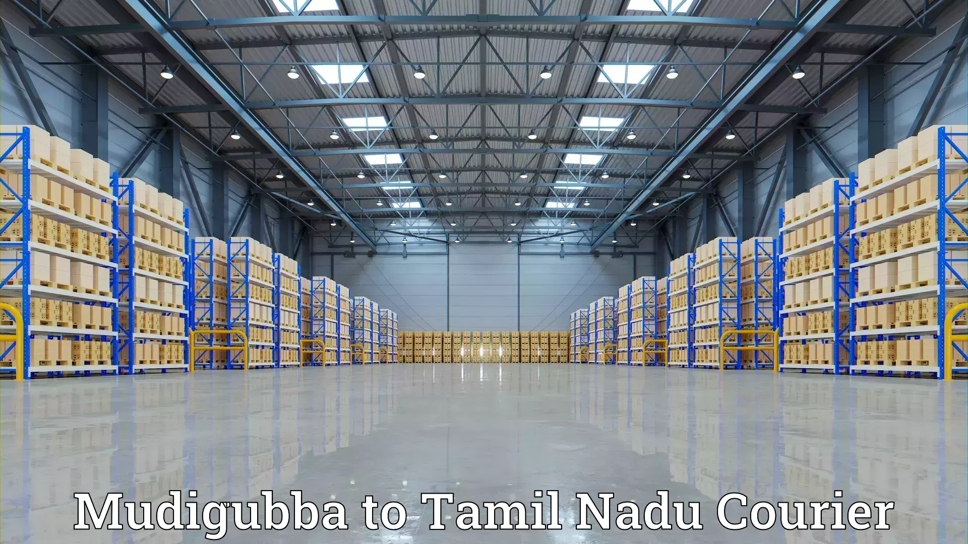 Efficient furniture movers in Mudigubba to Narikkudi