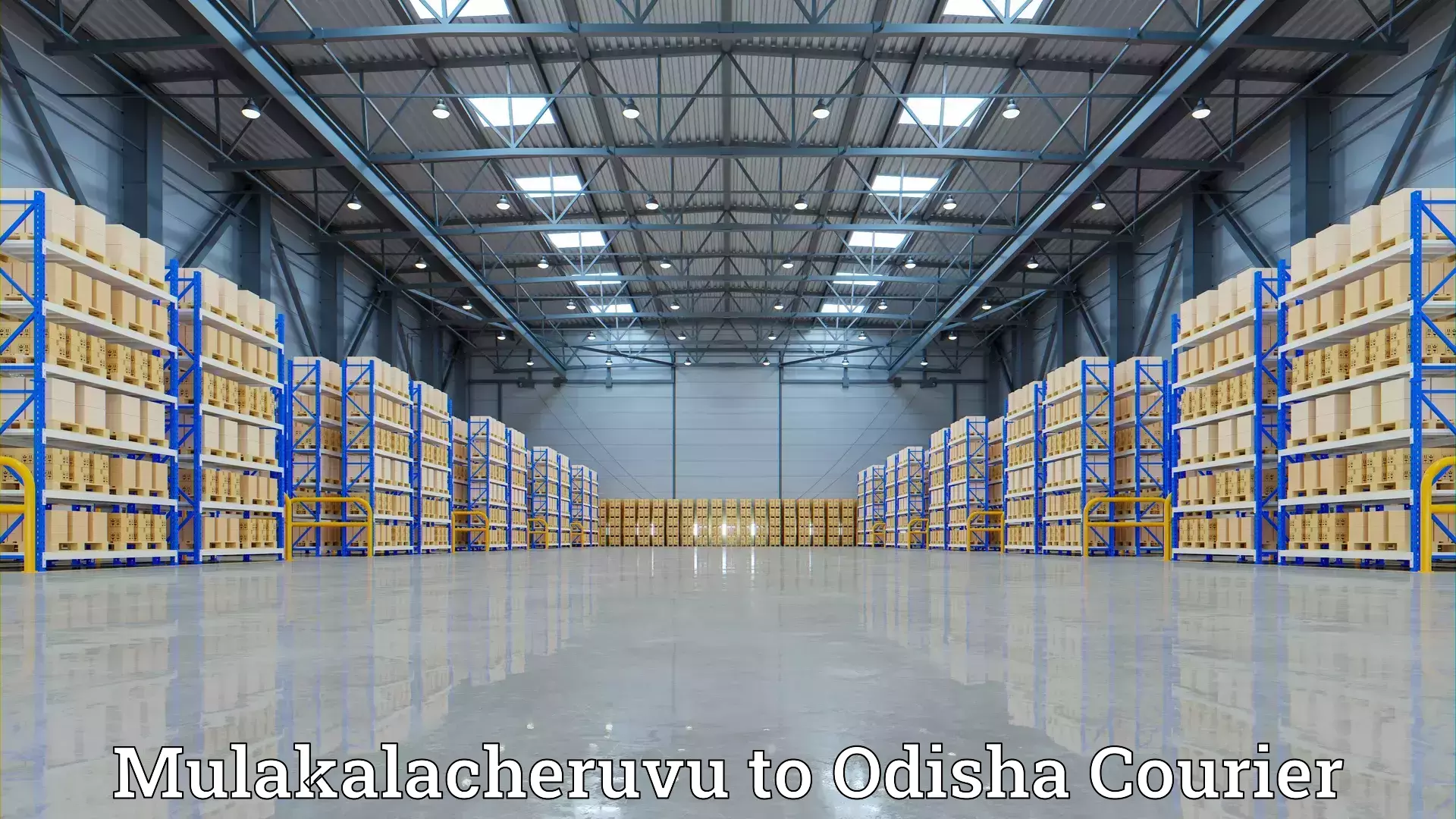 Trusted moving solutions Mulakalacheruvu to Odisha