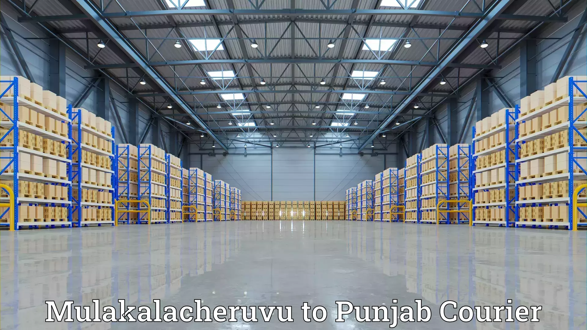 Quality furniture moving Mulakalacheruvu to Guru Nanak Dev University Amritsar