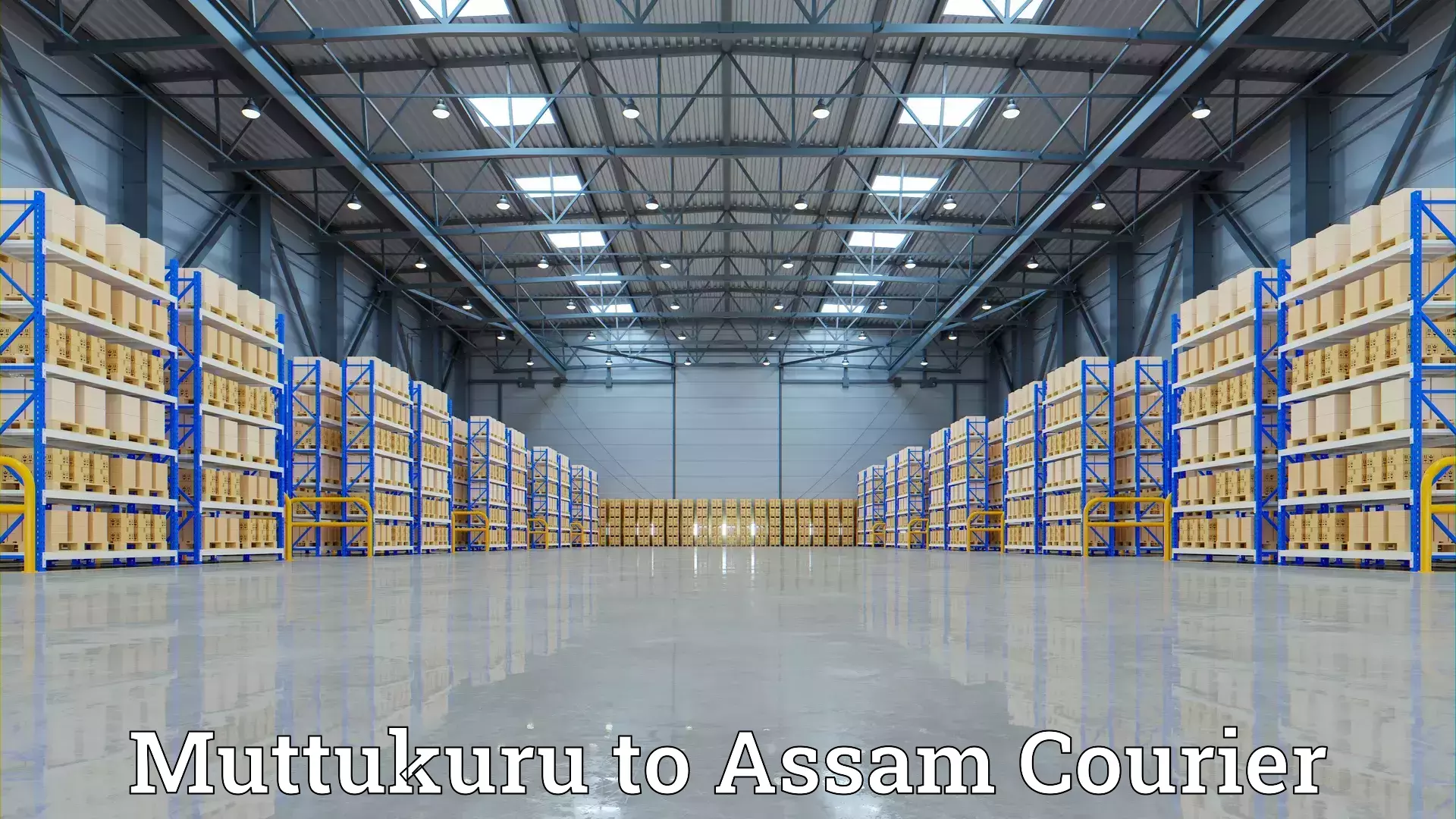 Furniture transport professionals Muttukuru to Assam