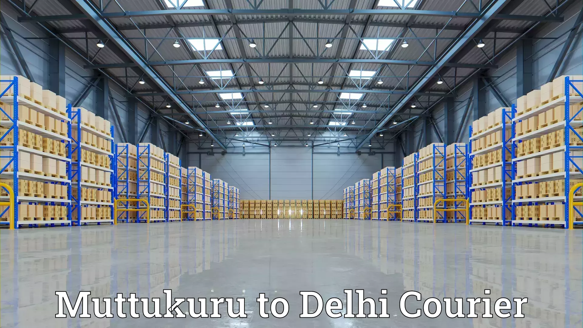 Skilled furniture movers in Muttukuru to NIT Delhi