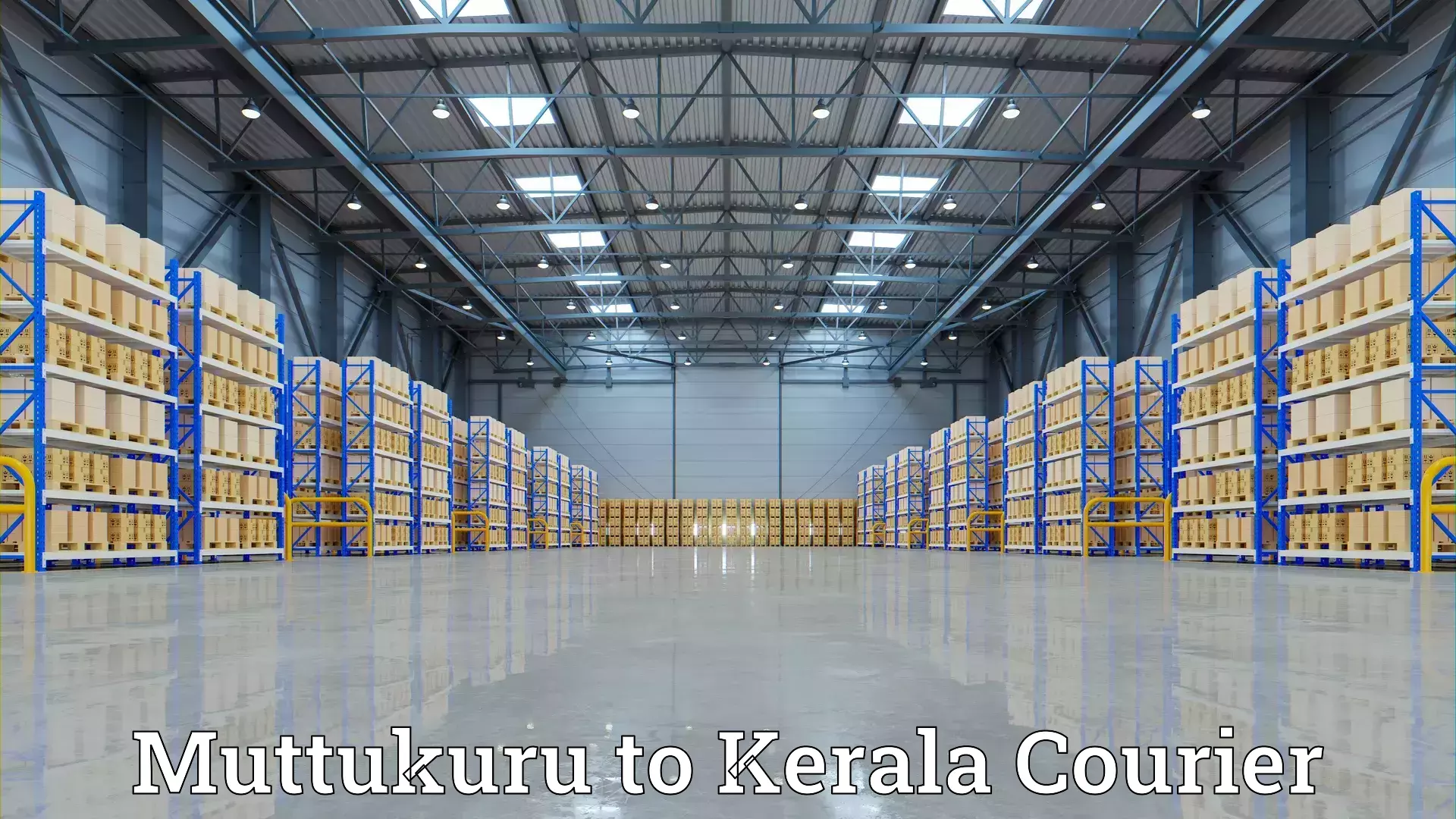 Custom moving and storage Muttukuru to Thrissur