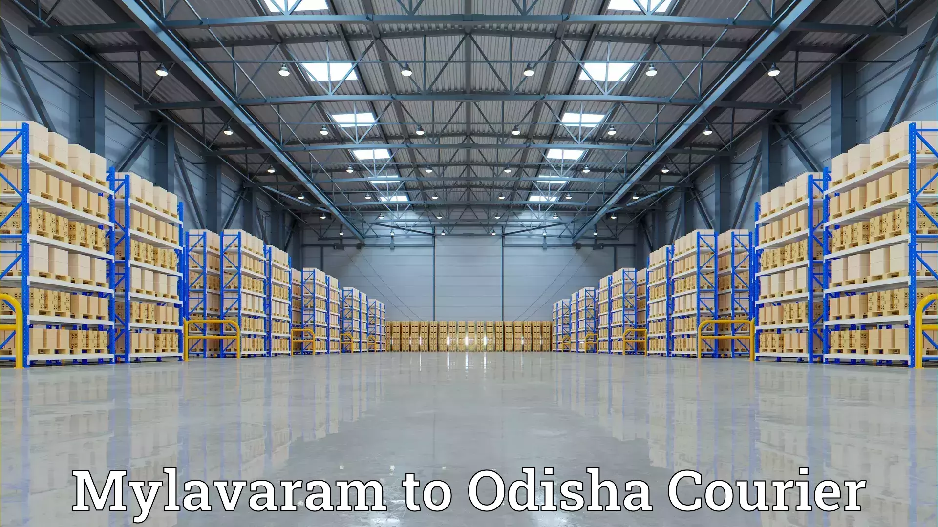 Hassle-free relocation Mylavaram to Odisha