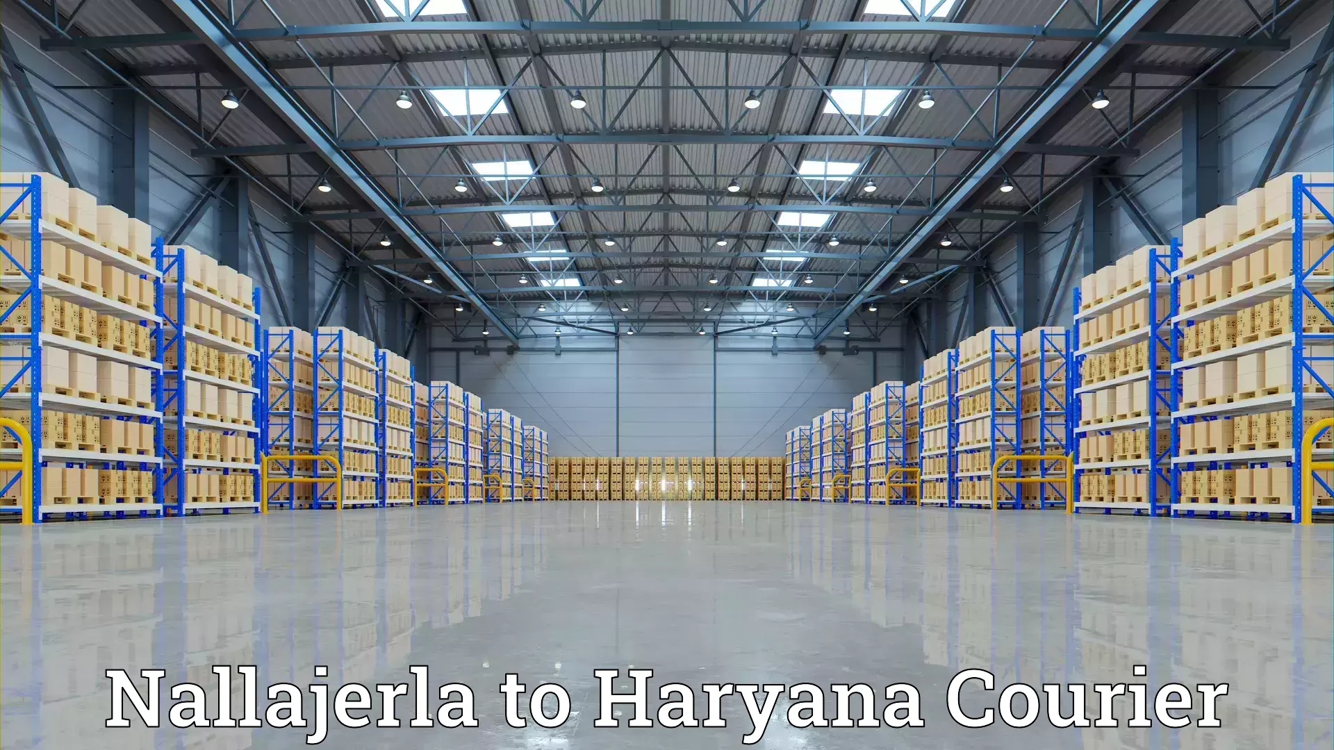 Quality moving and storage Nallajerla to Mahendragarh