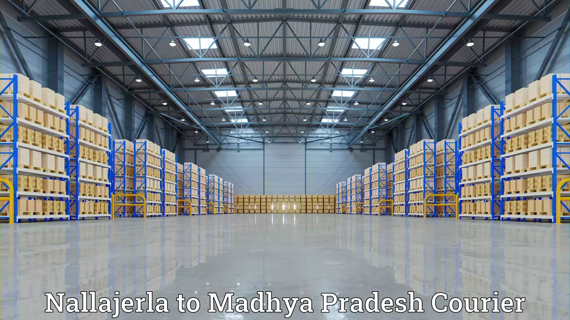 Personalized moving service Nallajerla to Vidisha