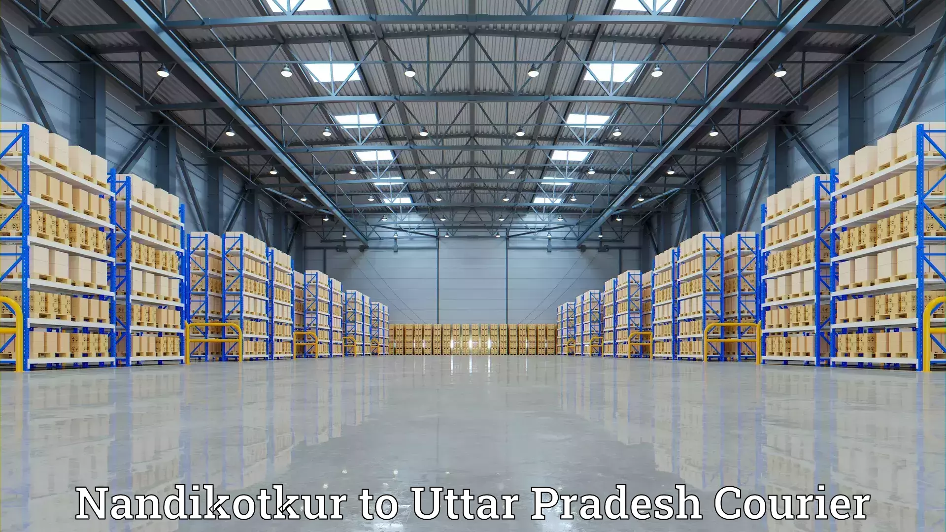 Affordable moving solutions Nandikotkur to Sant Ravidas Nagar