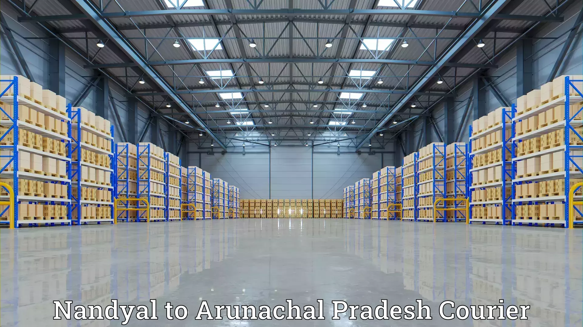 Cost-effective moving options Nandyal to Kharsang