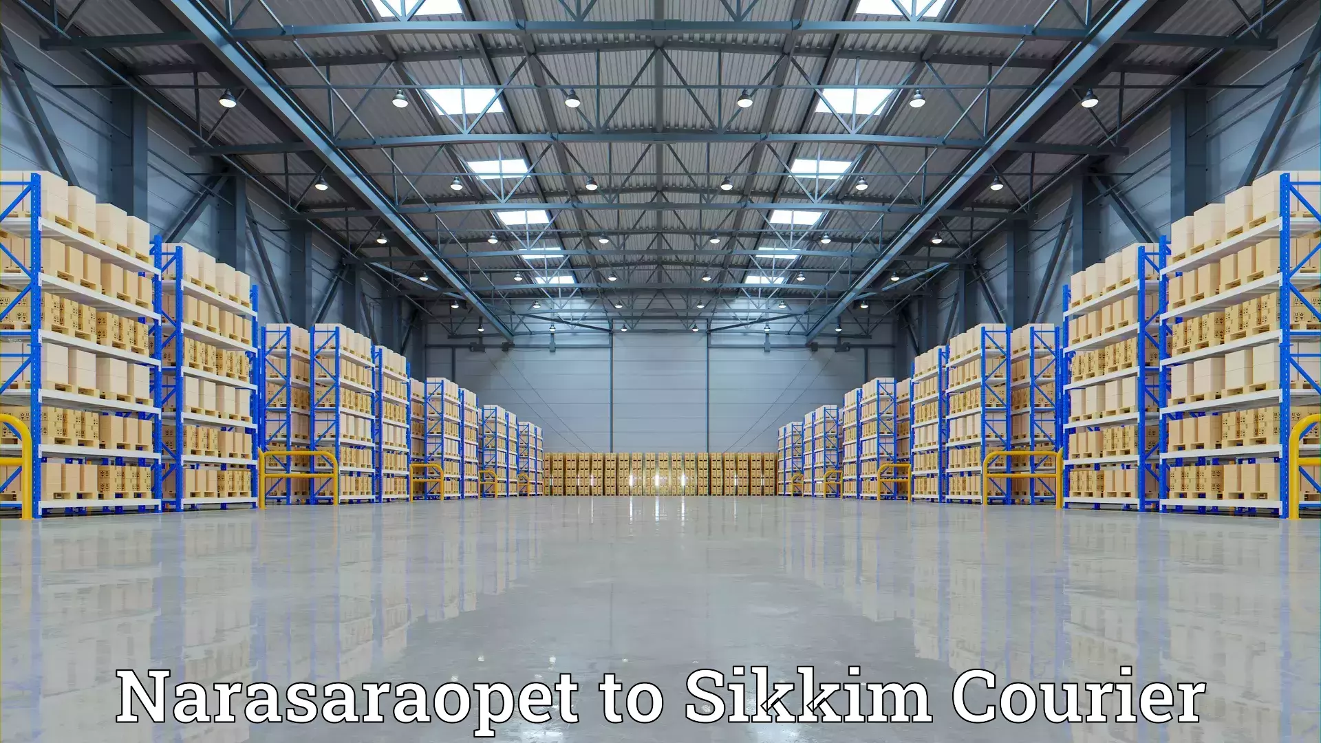 Expert moving solutions Narasaraopet to Sikkim