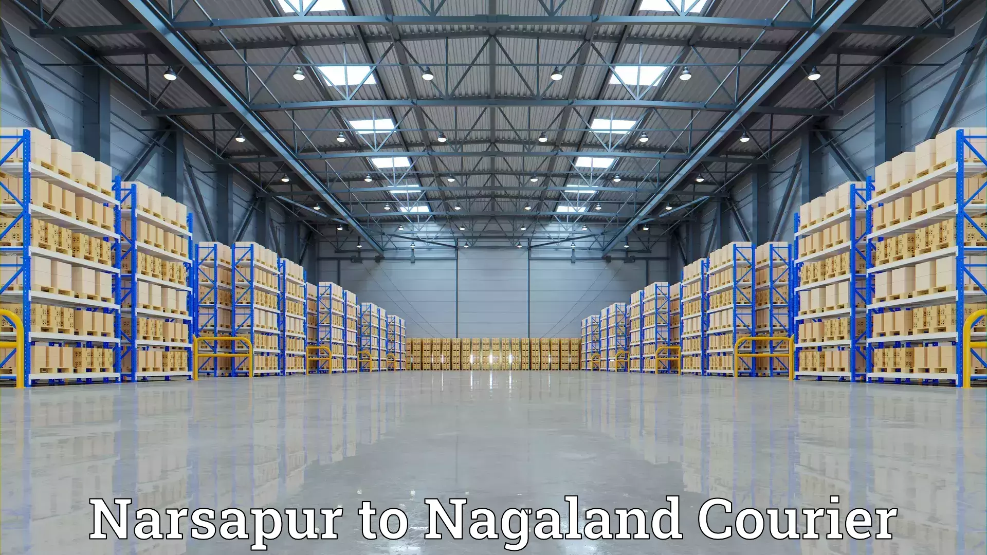 High-quality moving services Narsapur to Peren