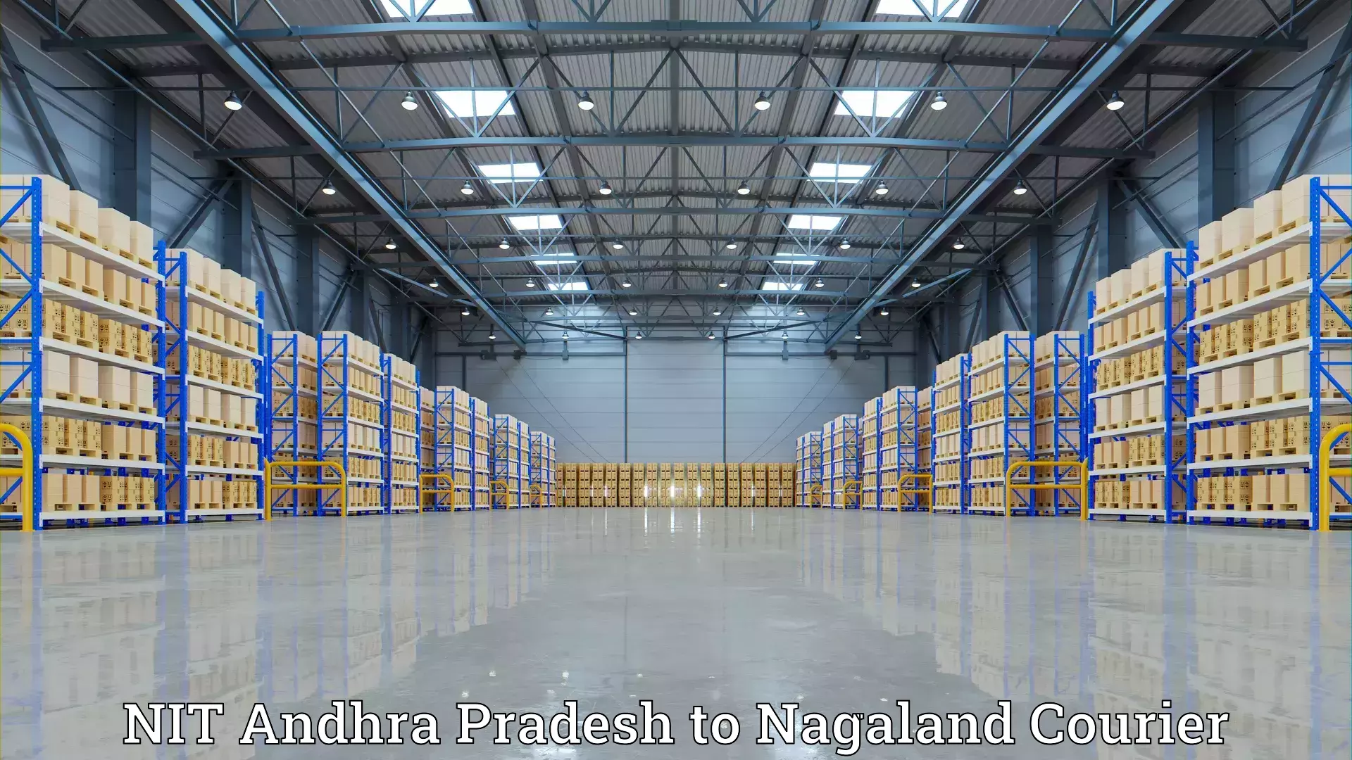 Efficient moving strategies NIT Andhra Pradesh to Nagaland