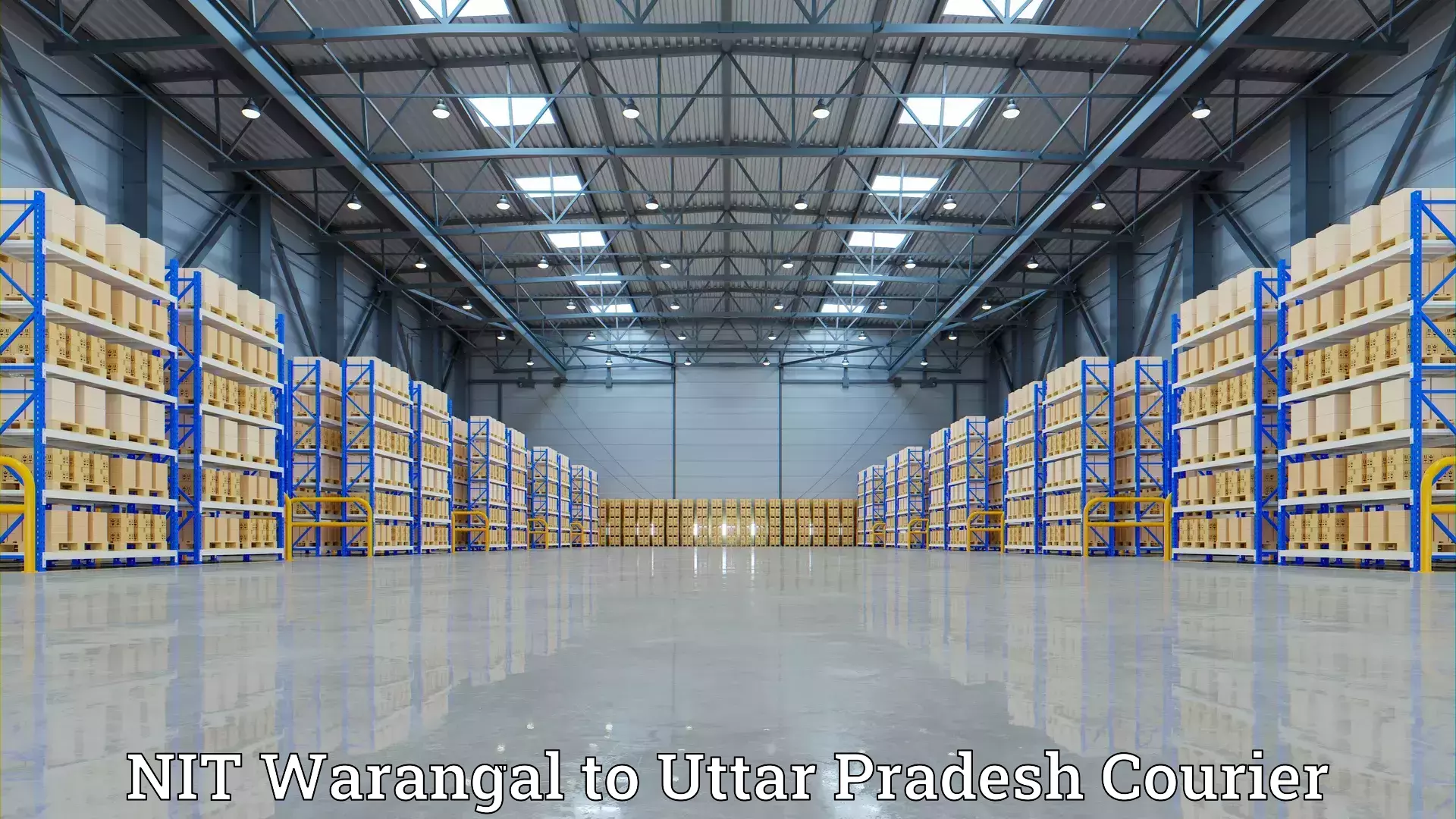 Household logistics services NIT Warangal to Siddharthnagar