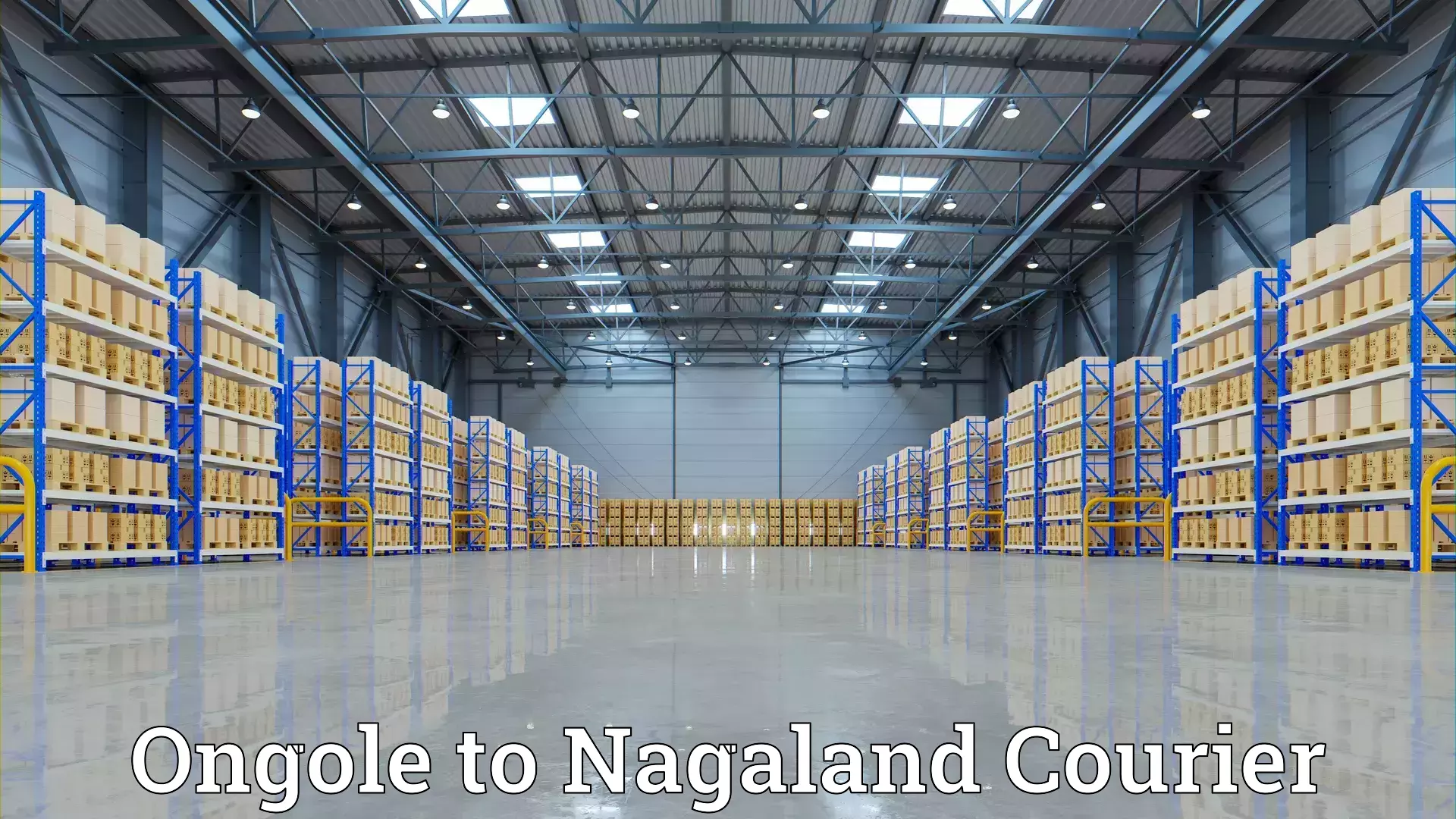 Skilled household transport Ongole to Nagaland