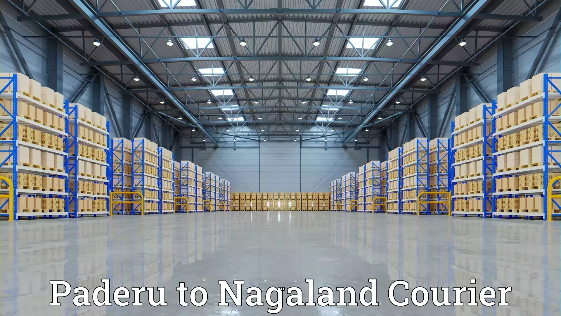 Safe moving services Paderu to Nagaland