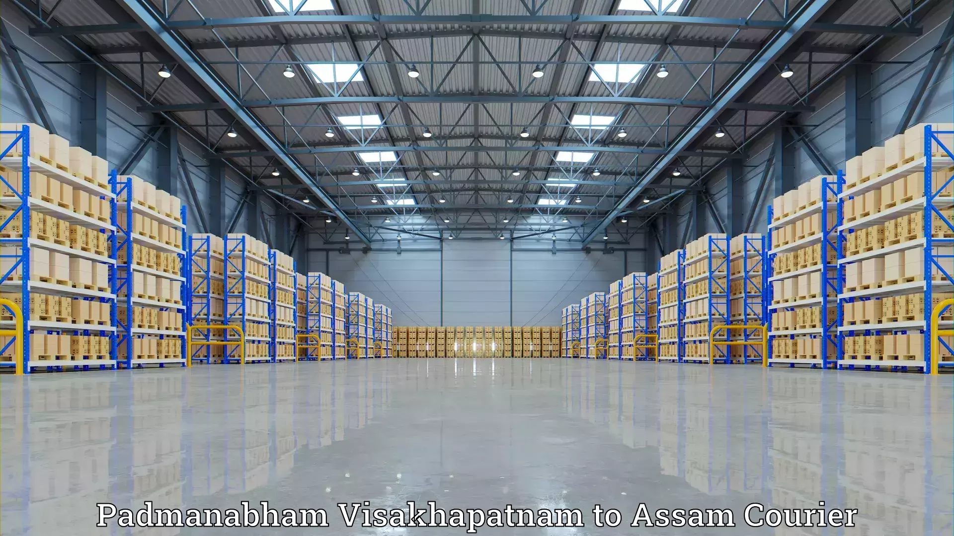 Reliable relocation services Padmanabham Visakhapatnam to Pathsala