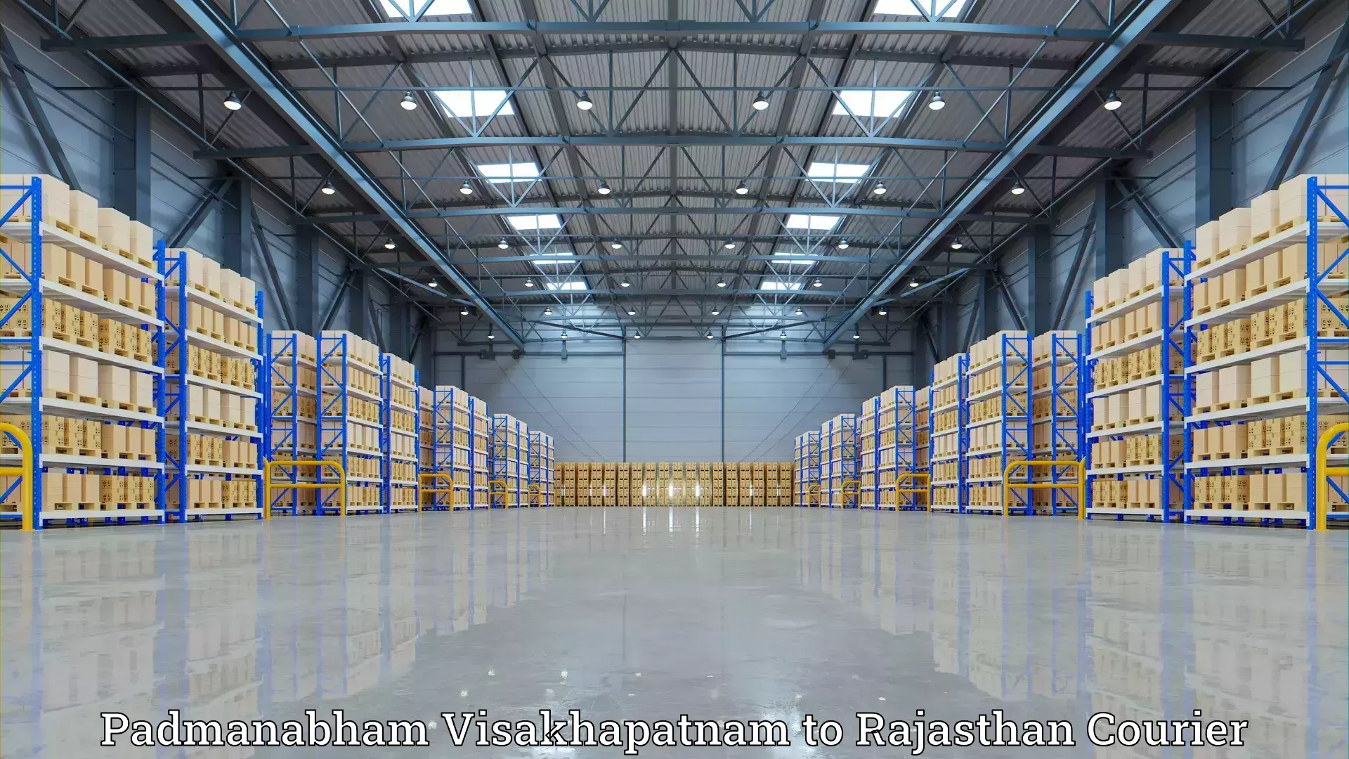 Custom relocation solutions in Padmanabham Visakhapatnam to Jhadol