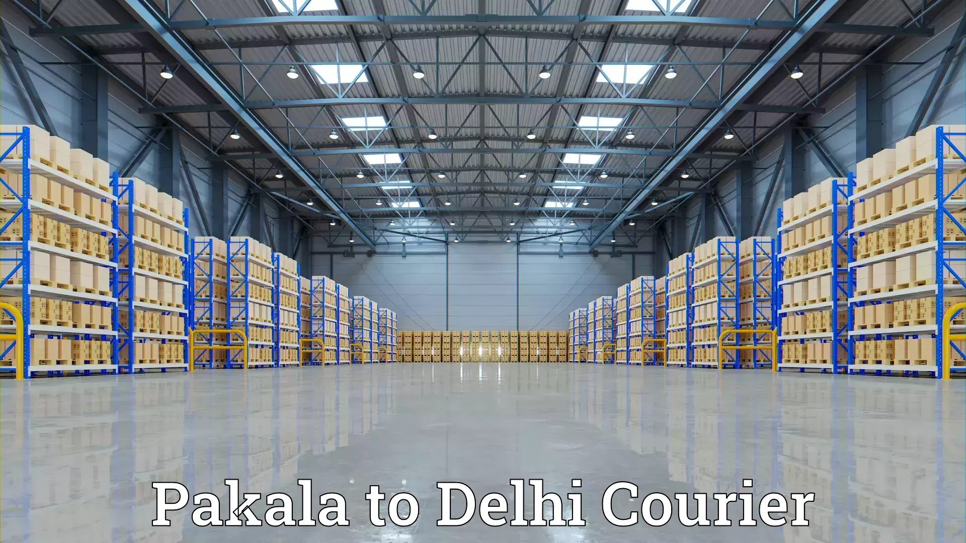 Efficient moving company Pakala to Ashok Vihar