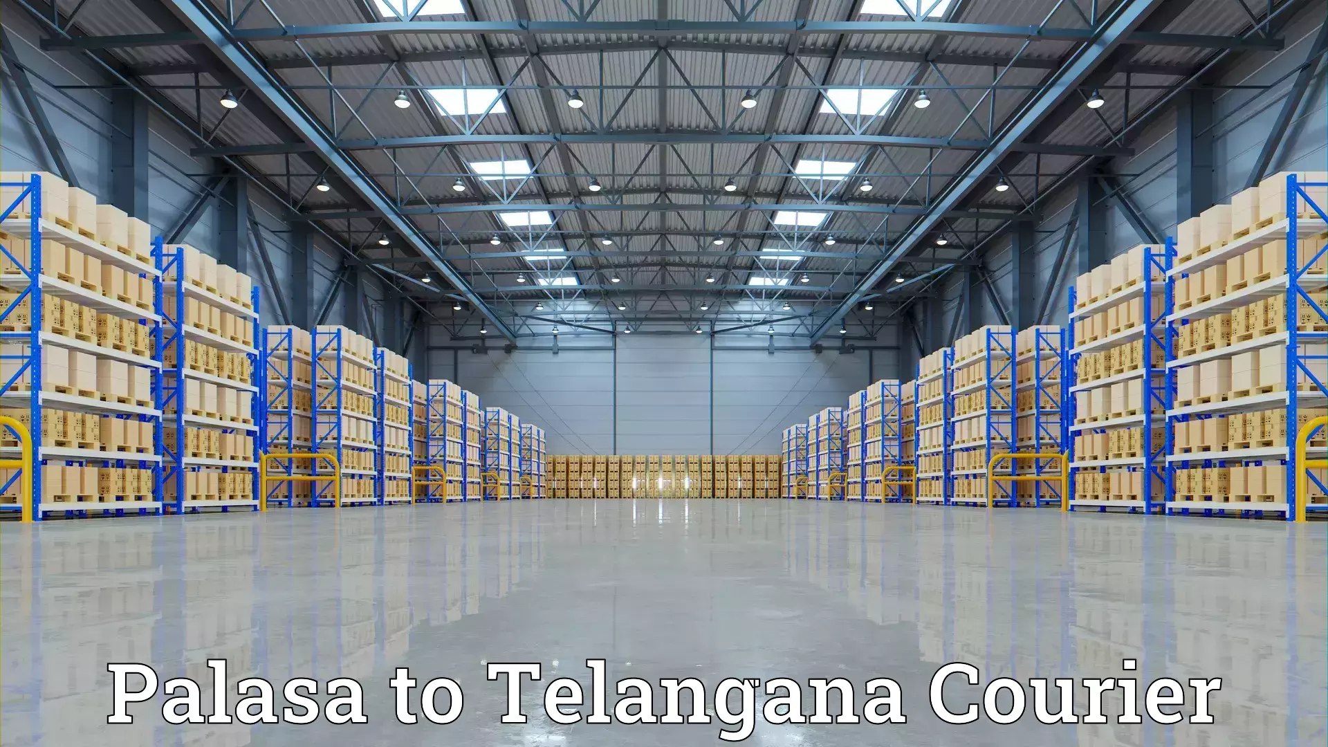 Comprehensive moving assistance Palasa to Telangana