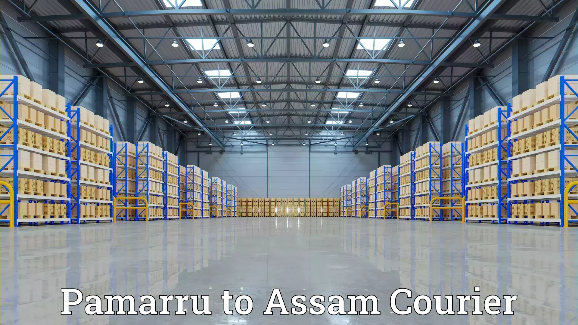 Household moving and handling Pamarru to Assam University Silchar