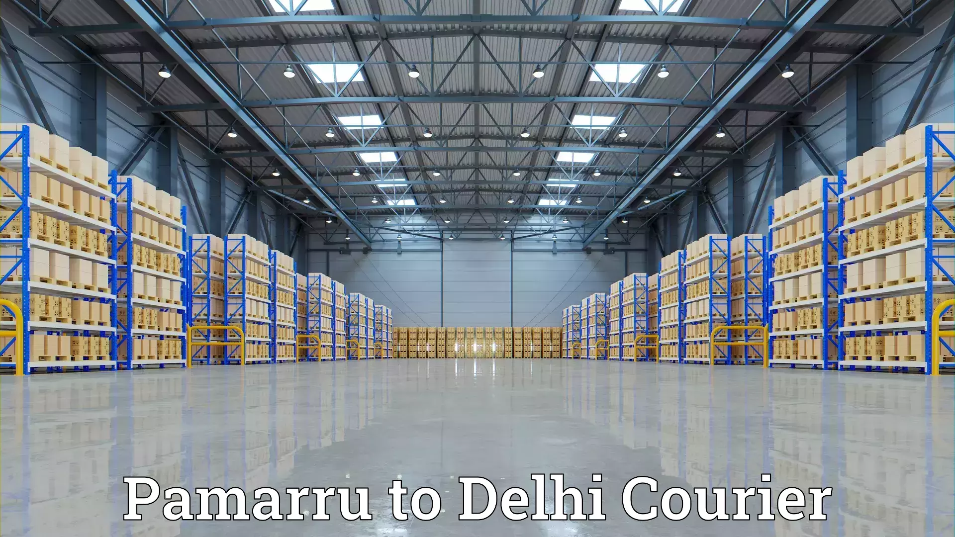 Furniture transport and storage Pamarru to Naraina Industrial Estate