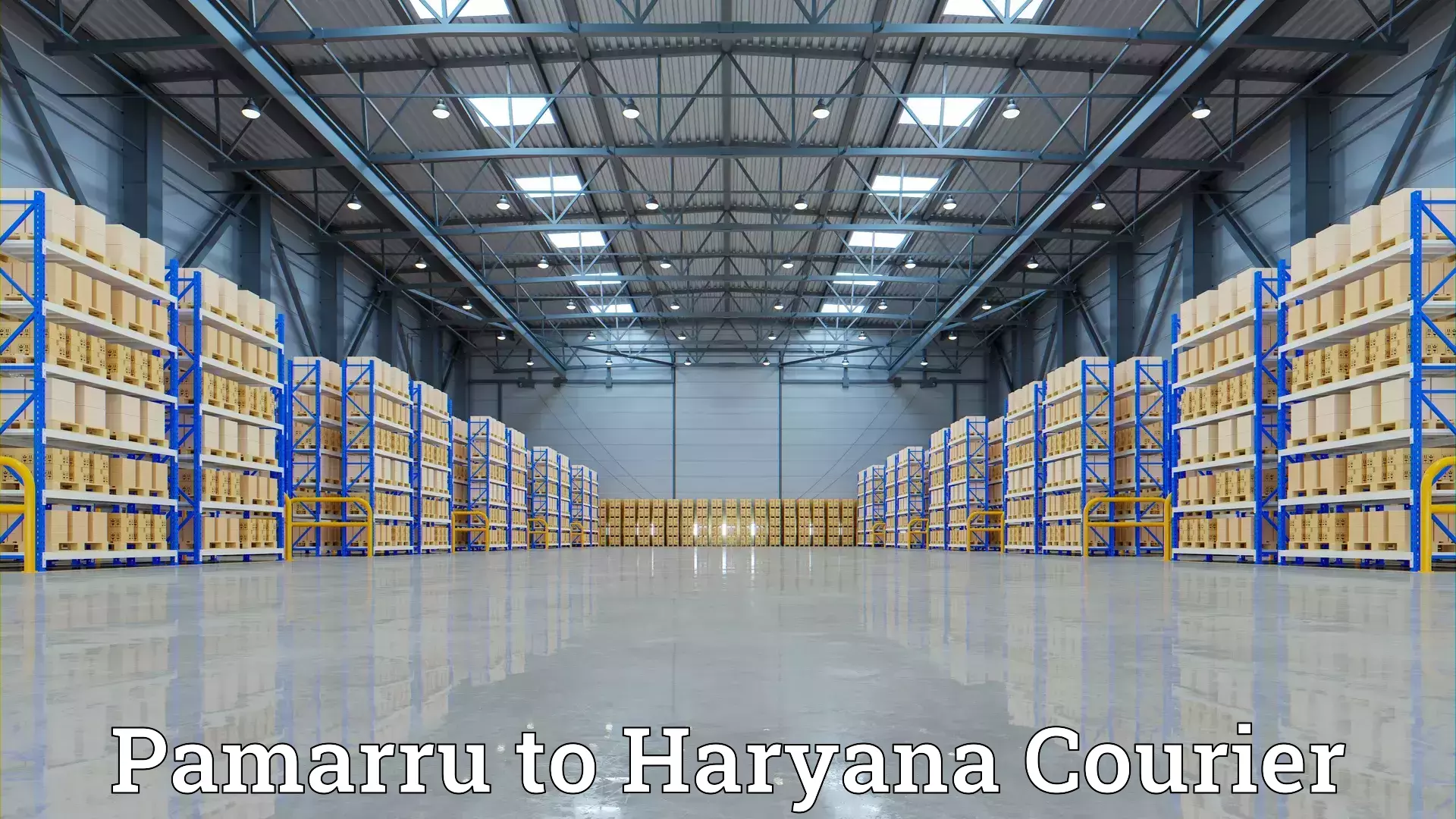 Personalized moving and storage Pamarru to IIIT Sonepat