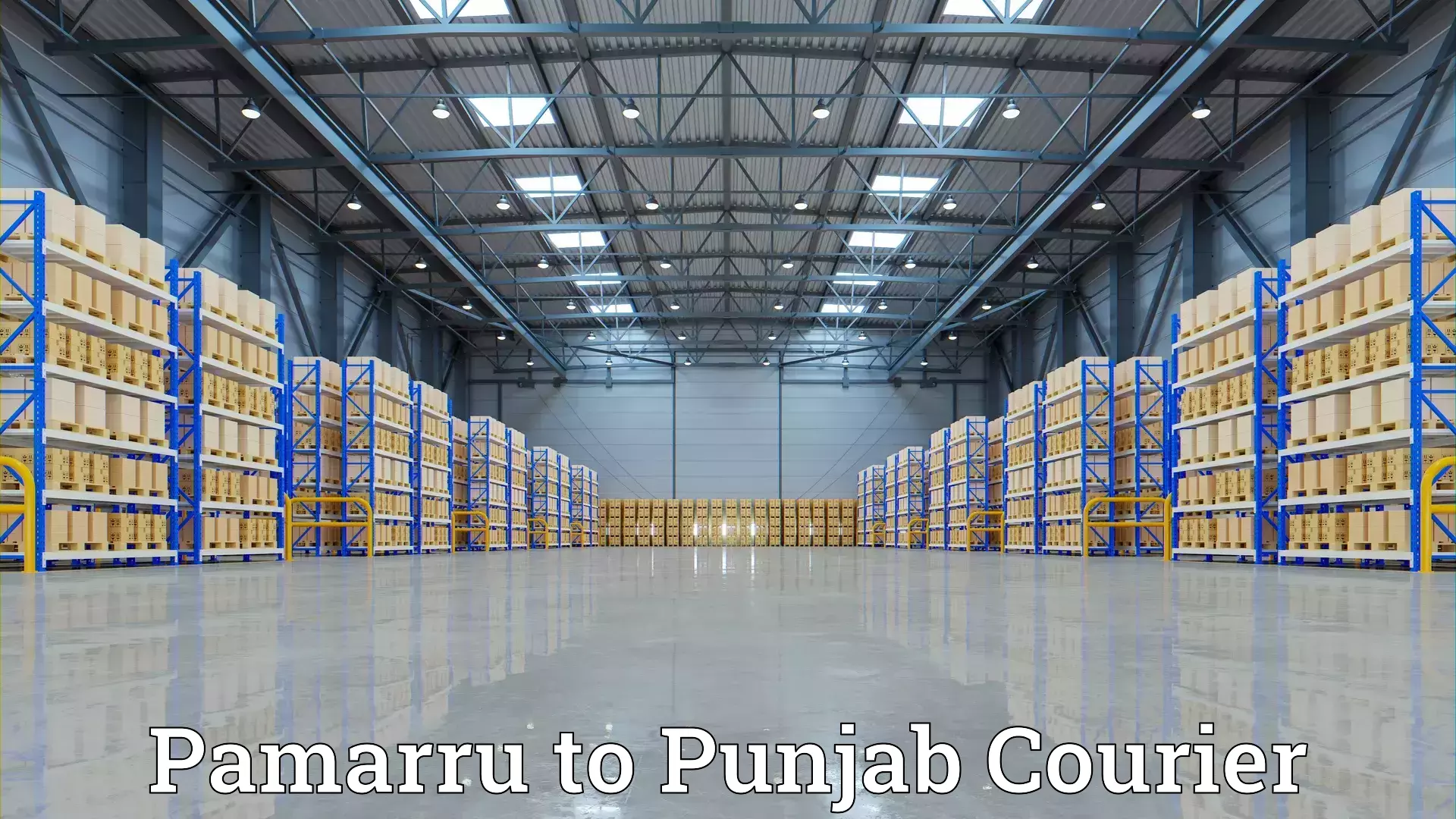 Professional moving company Pamarru to Jhunir