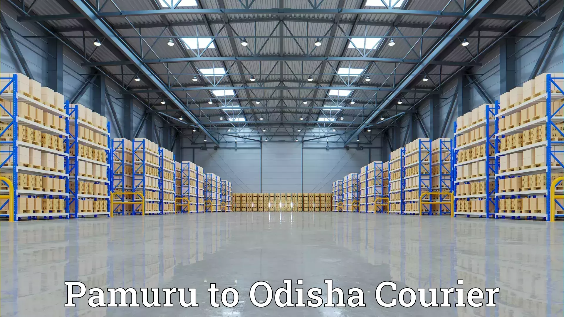 Skilled movers Pamuru to Odisha