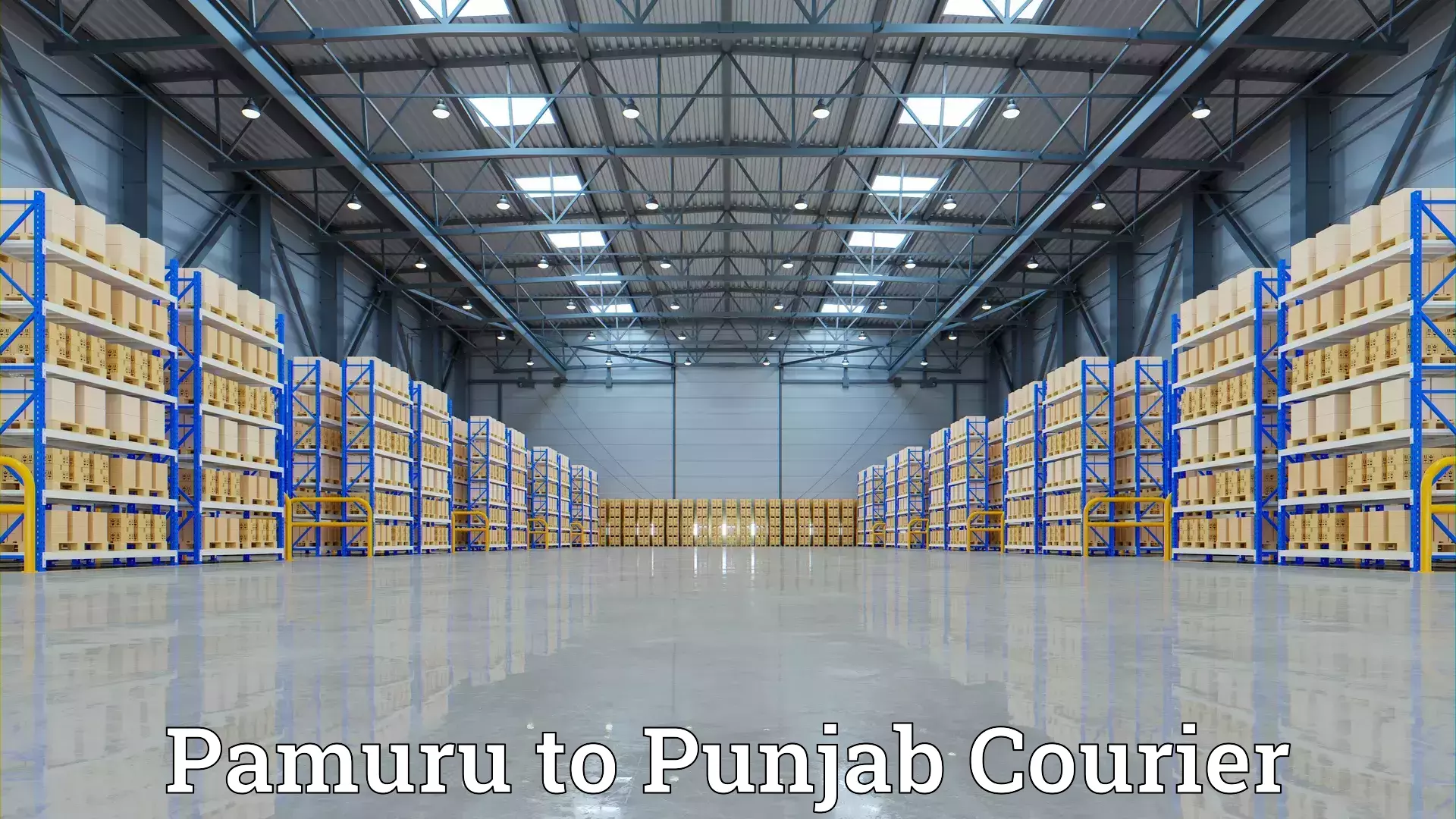 Hassle-free relocation Pamuru to Zirakpur