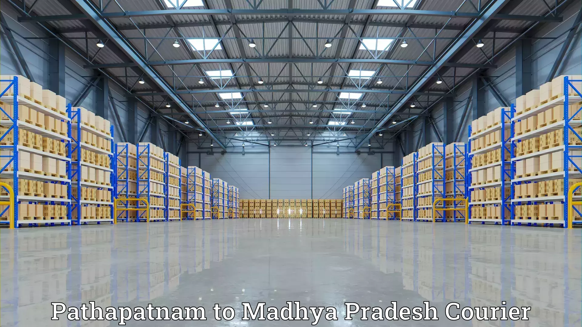 Comprehensive furniture moving Pathapatnam to Raipur Karchuliyan