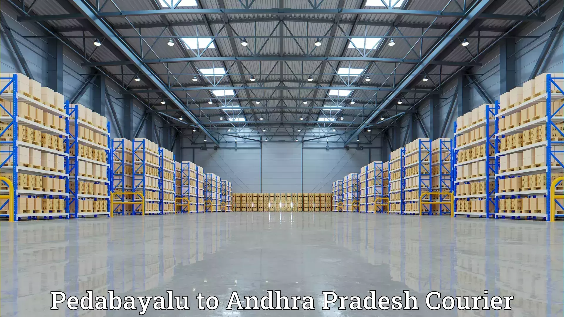 Home goods movers Pedabayalu to Rajahmundry