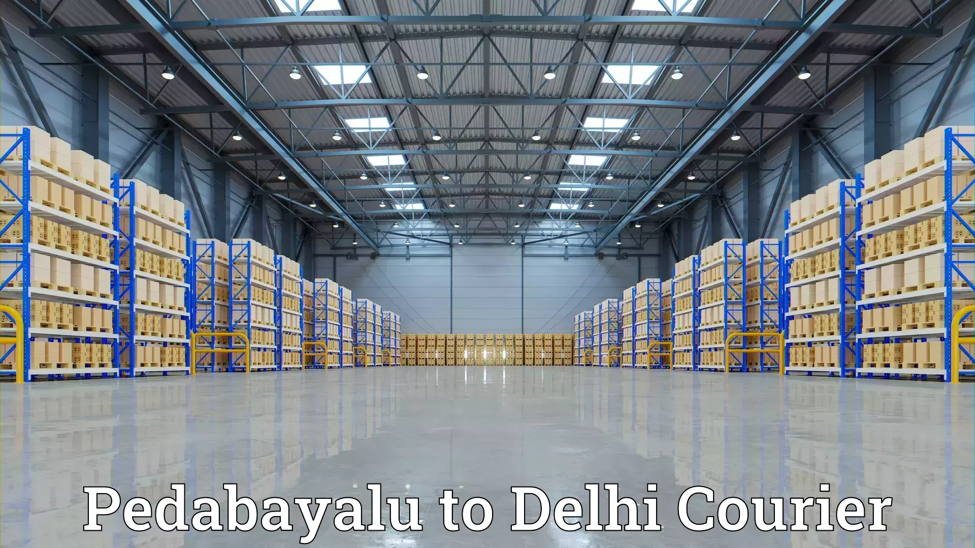 Comprehensive moving assistance Pedabayalu to Delhi