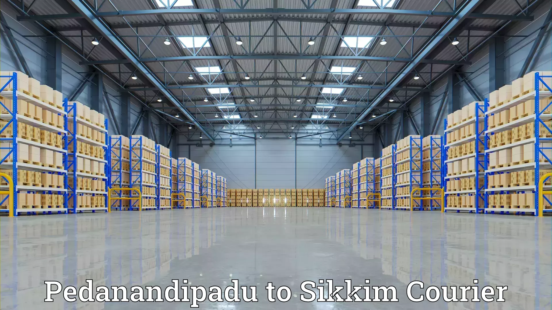 Professional moving company Pedanandipadu to Sikkim